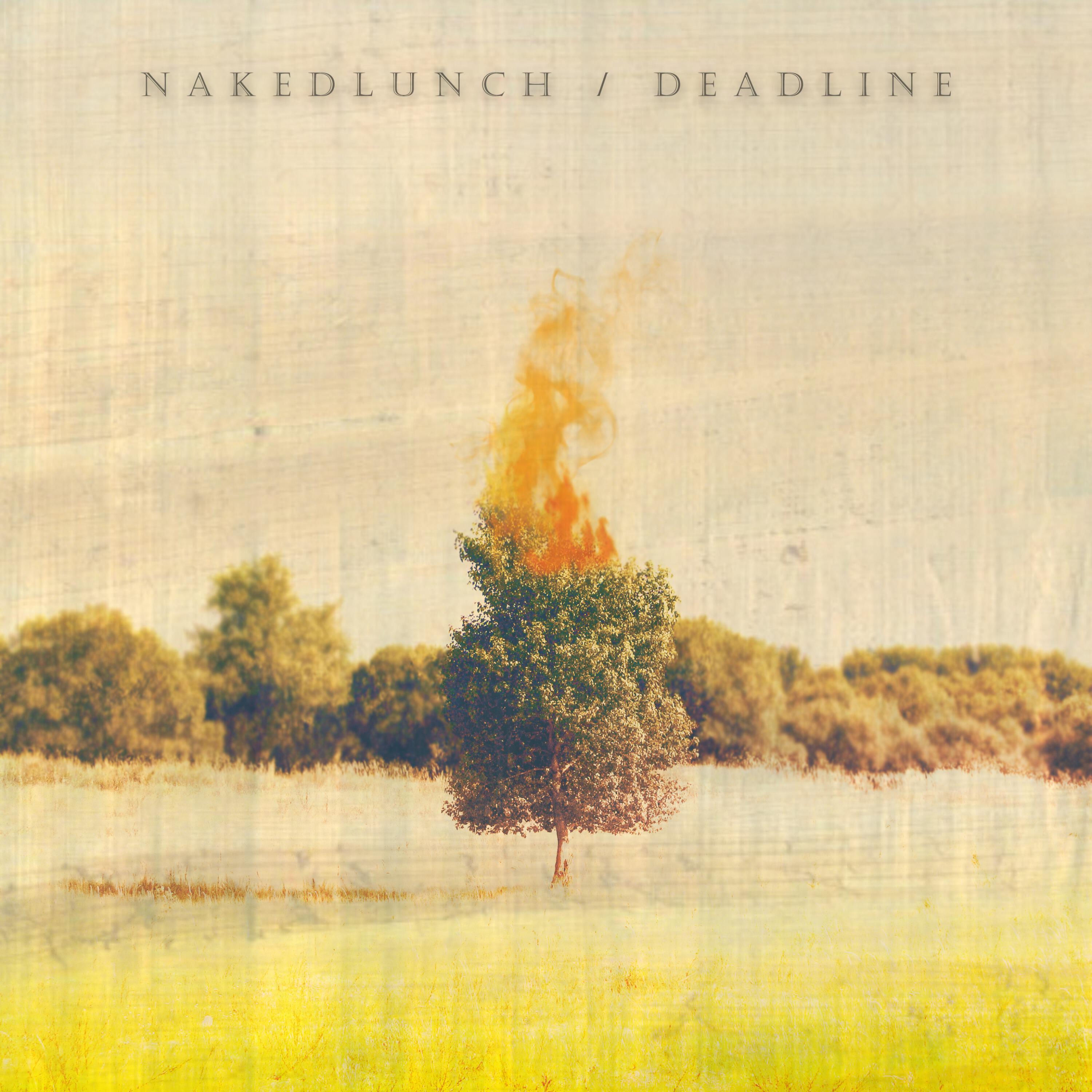 Nakedlunch