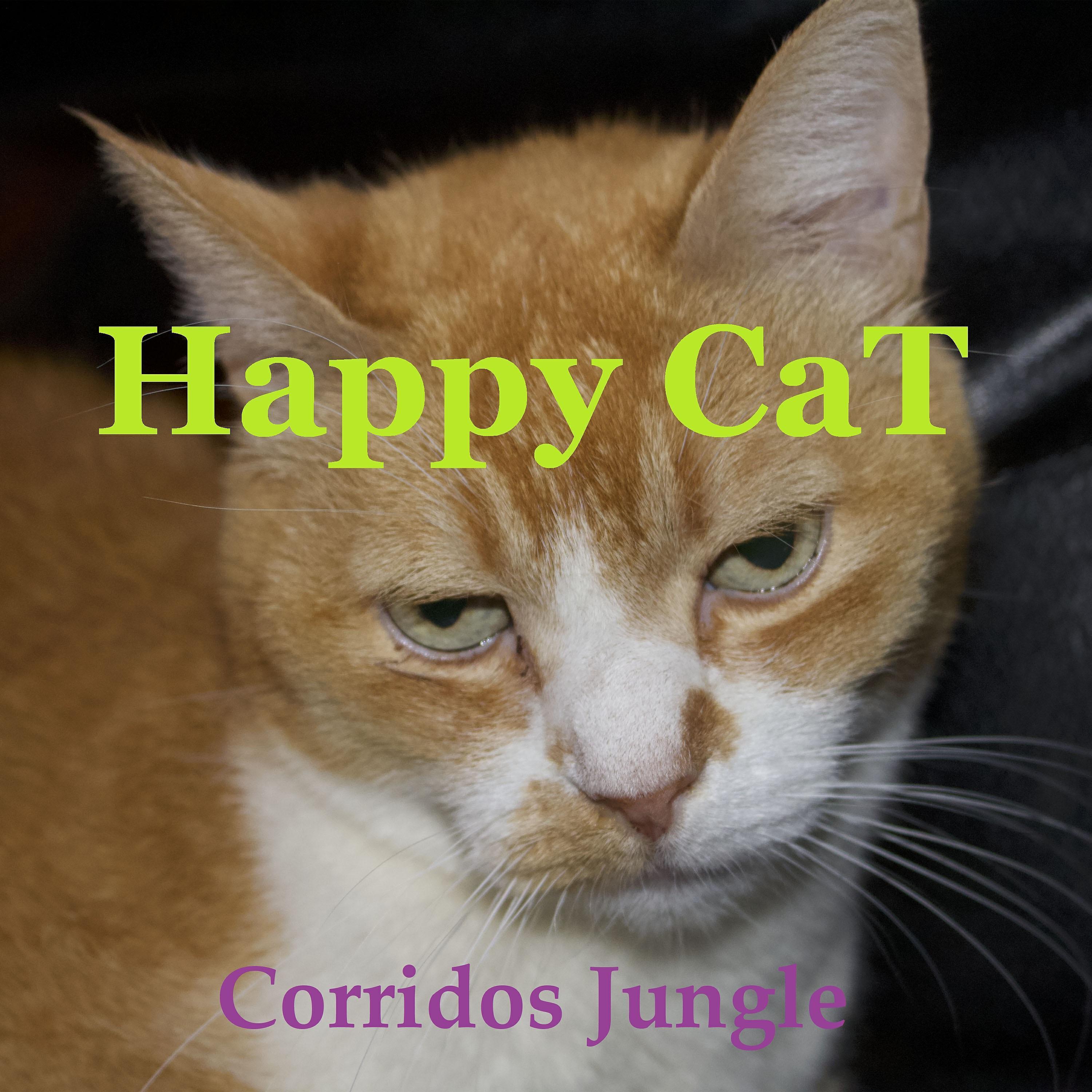 Happy CaT