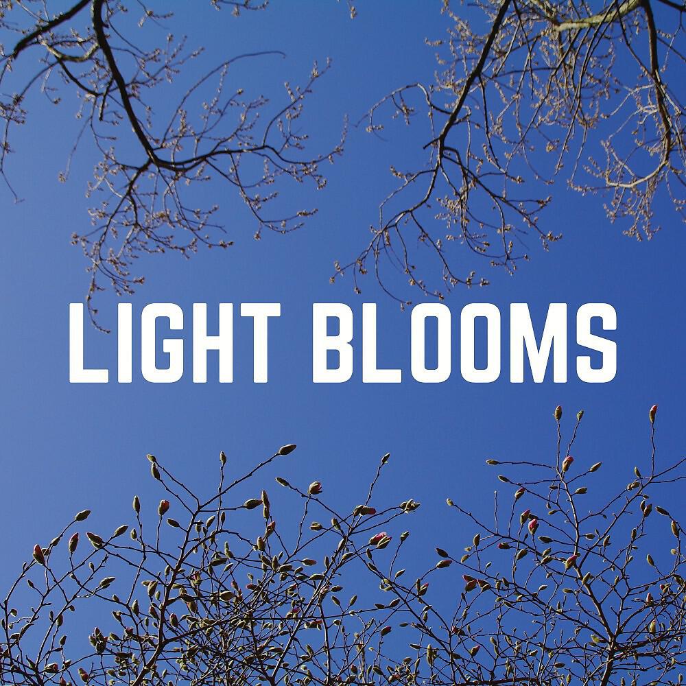 Релиз Light Blooms
