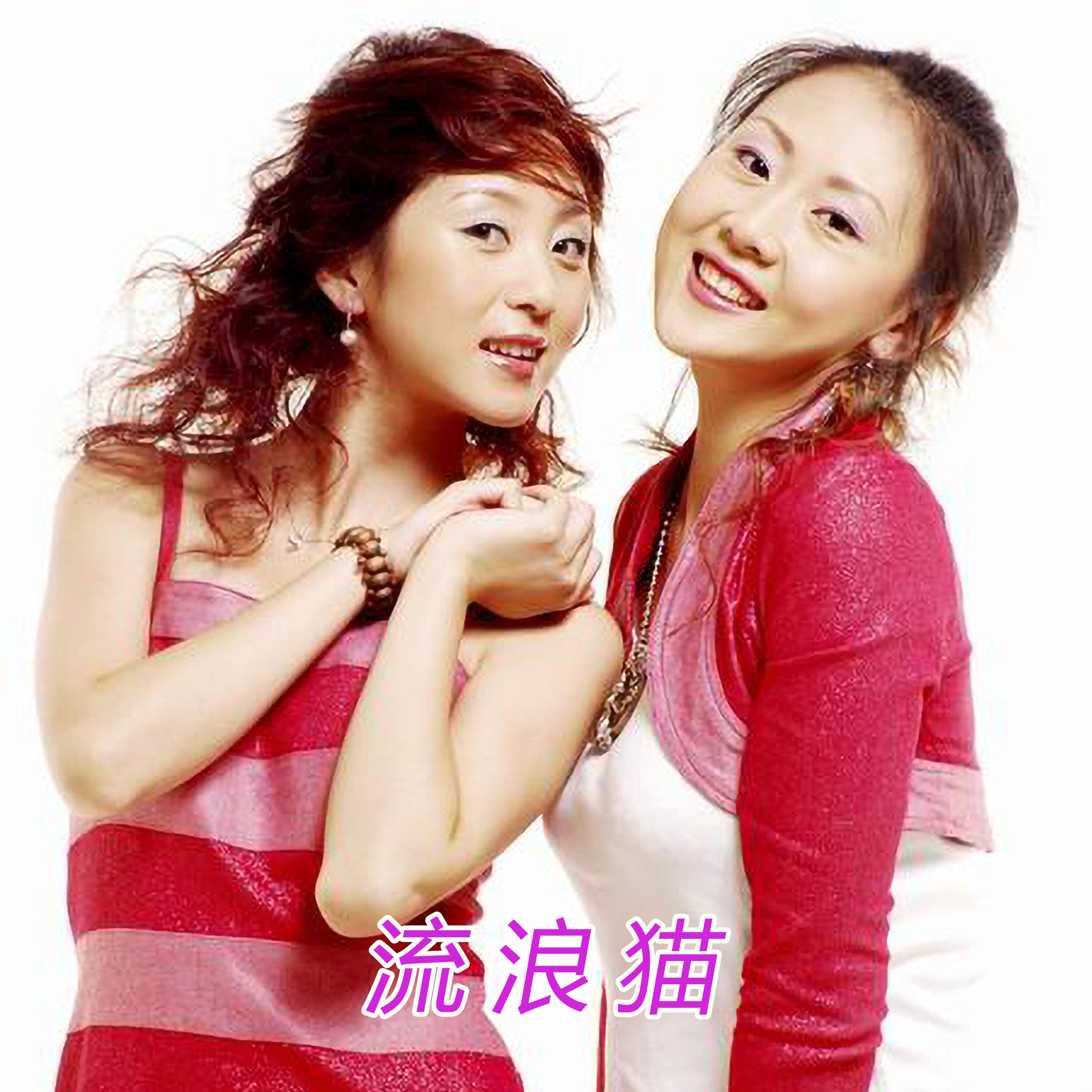 Релиз 流浪猫