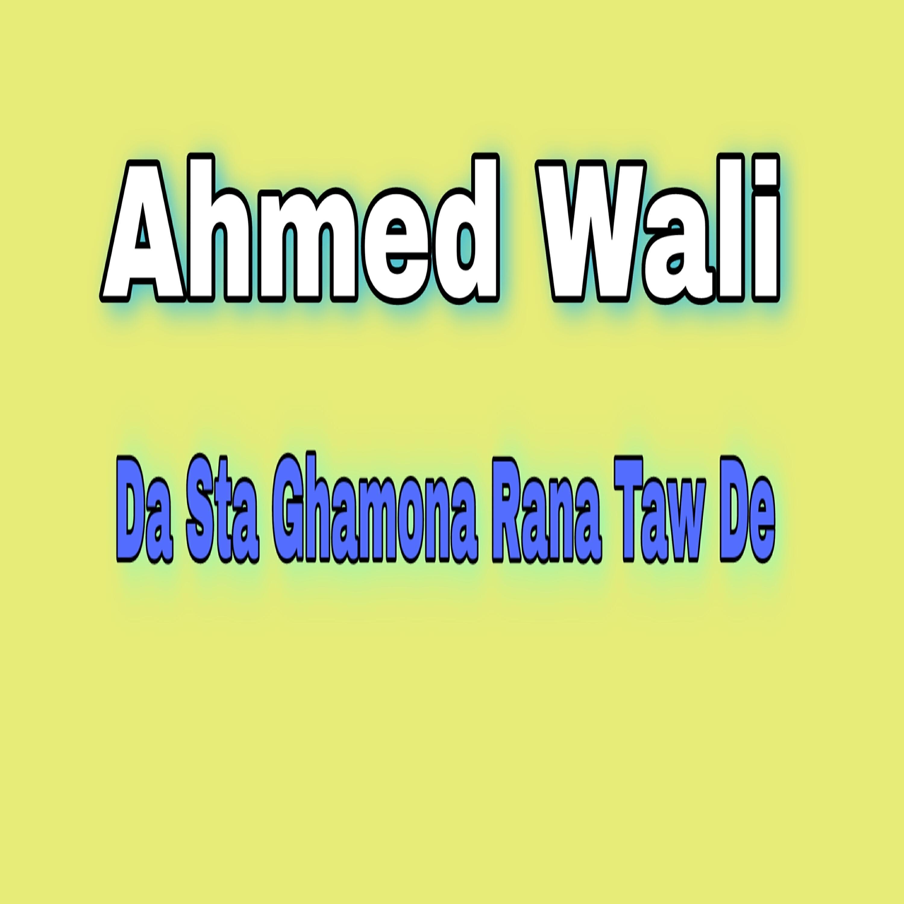 Ahmed Wali
