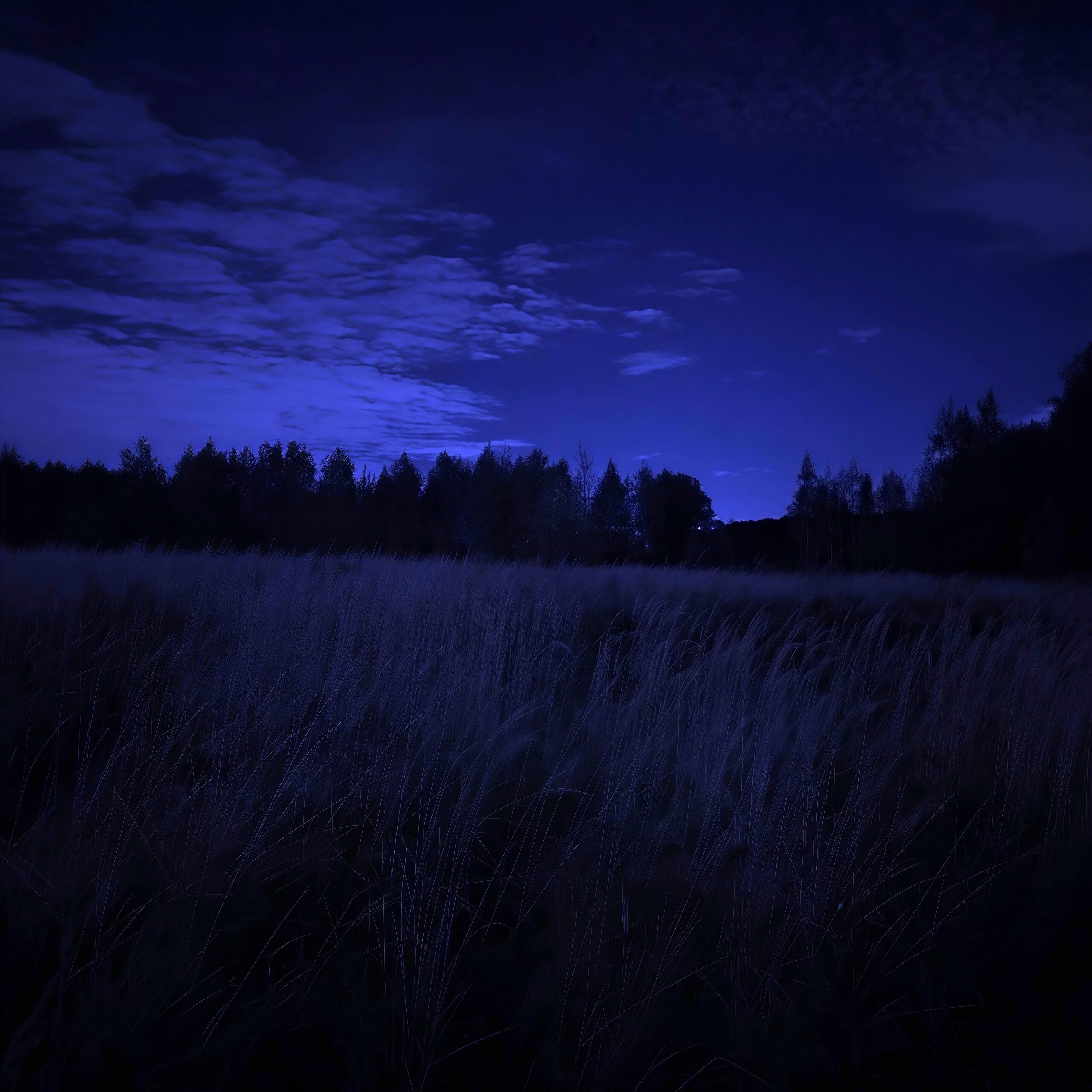 Релиз 5 am walk