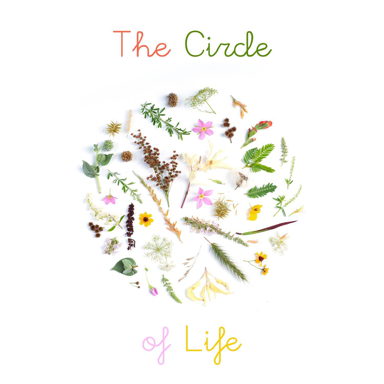 Релиз The Circle of Life