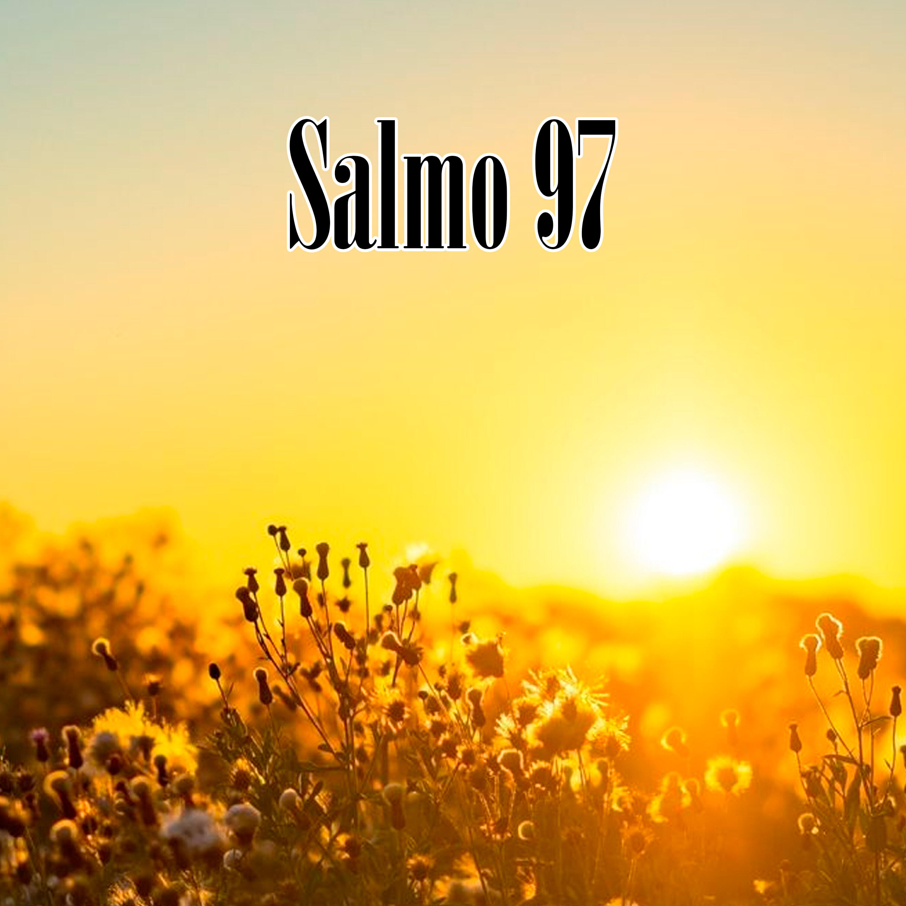 Soldados De Cristo