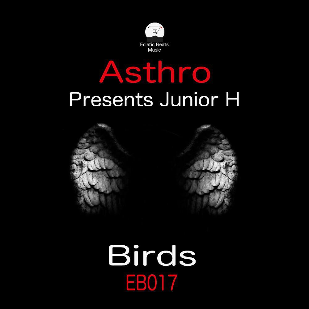 Релиз Birds