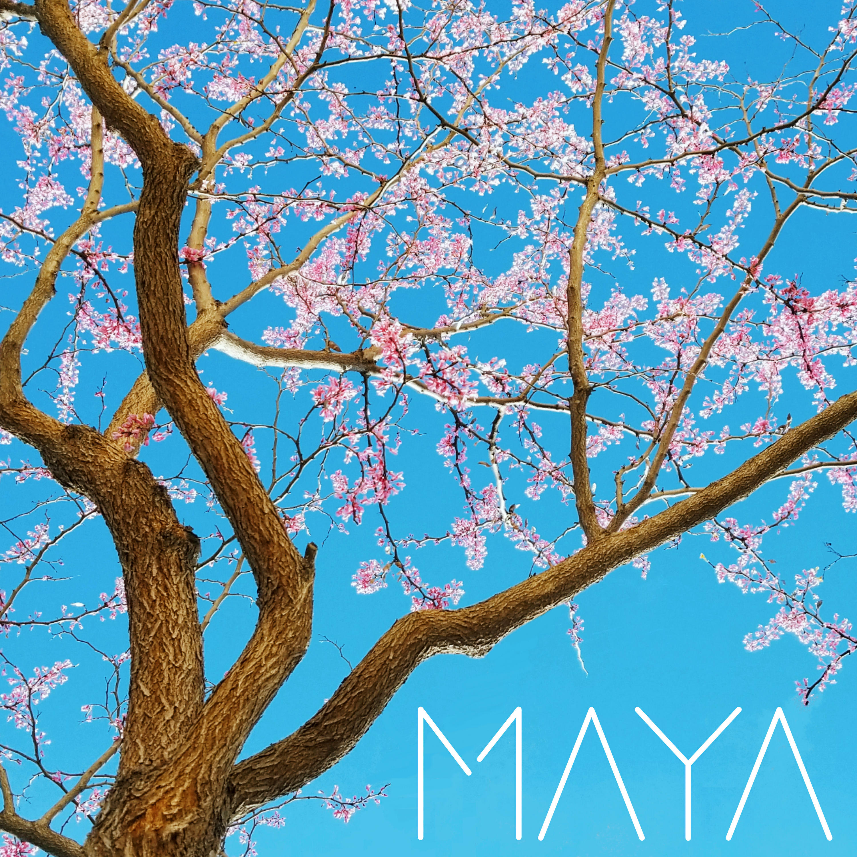 Релиз Maya