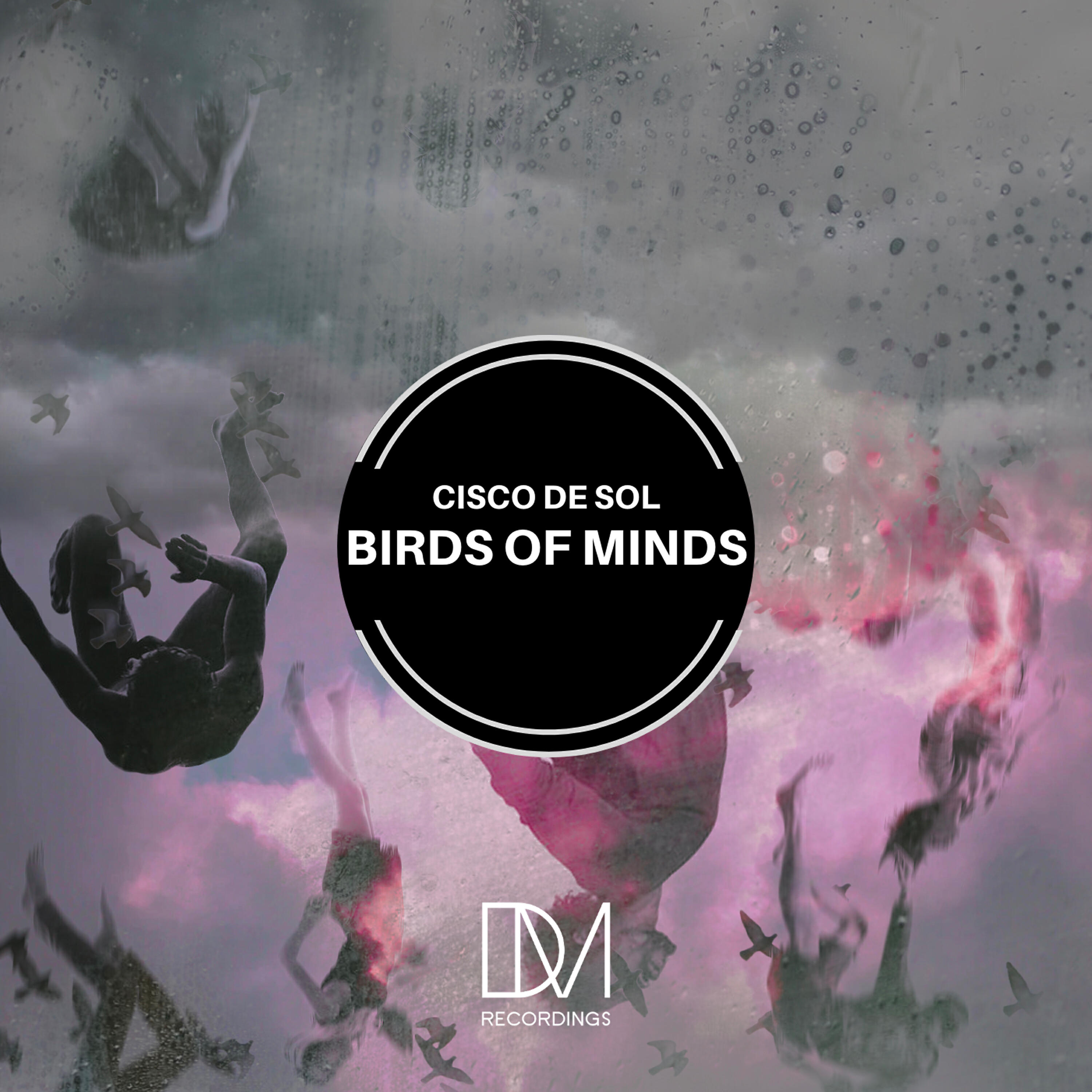Релиз Birds of Minds