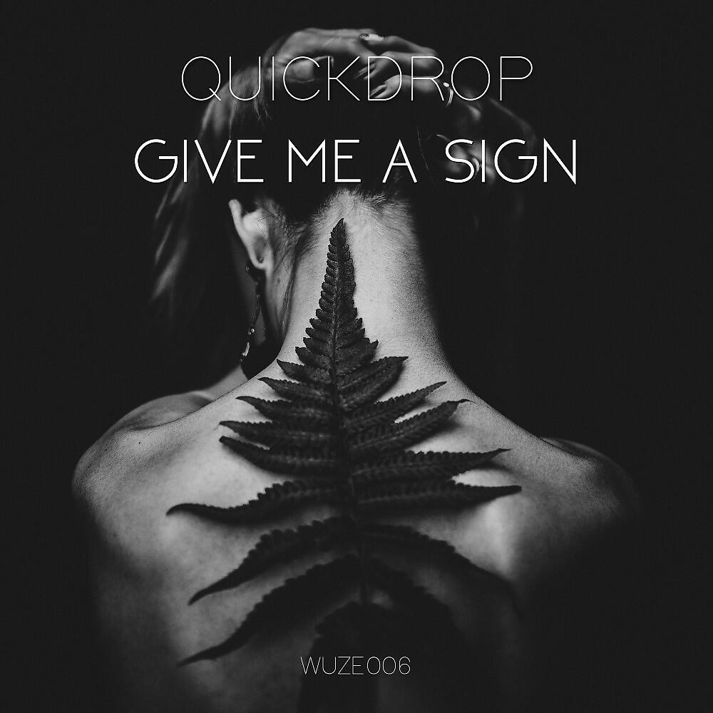 Постер альбома Give Me a Sign