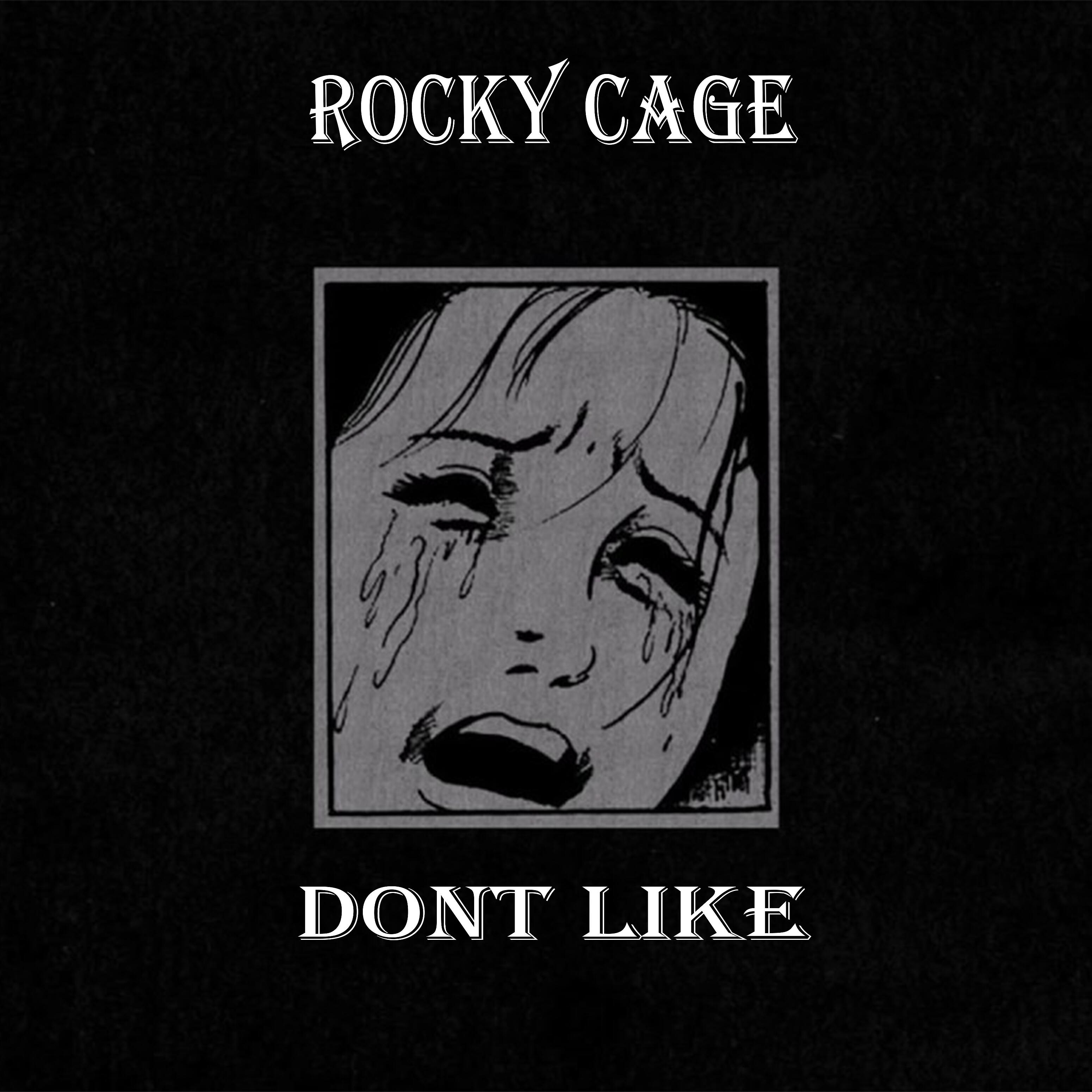Постер альбома Dont Like