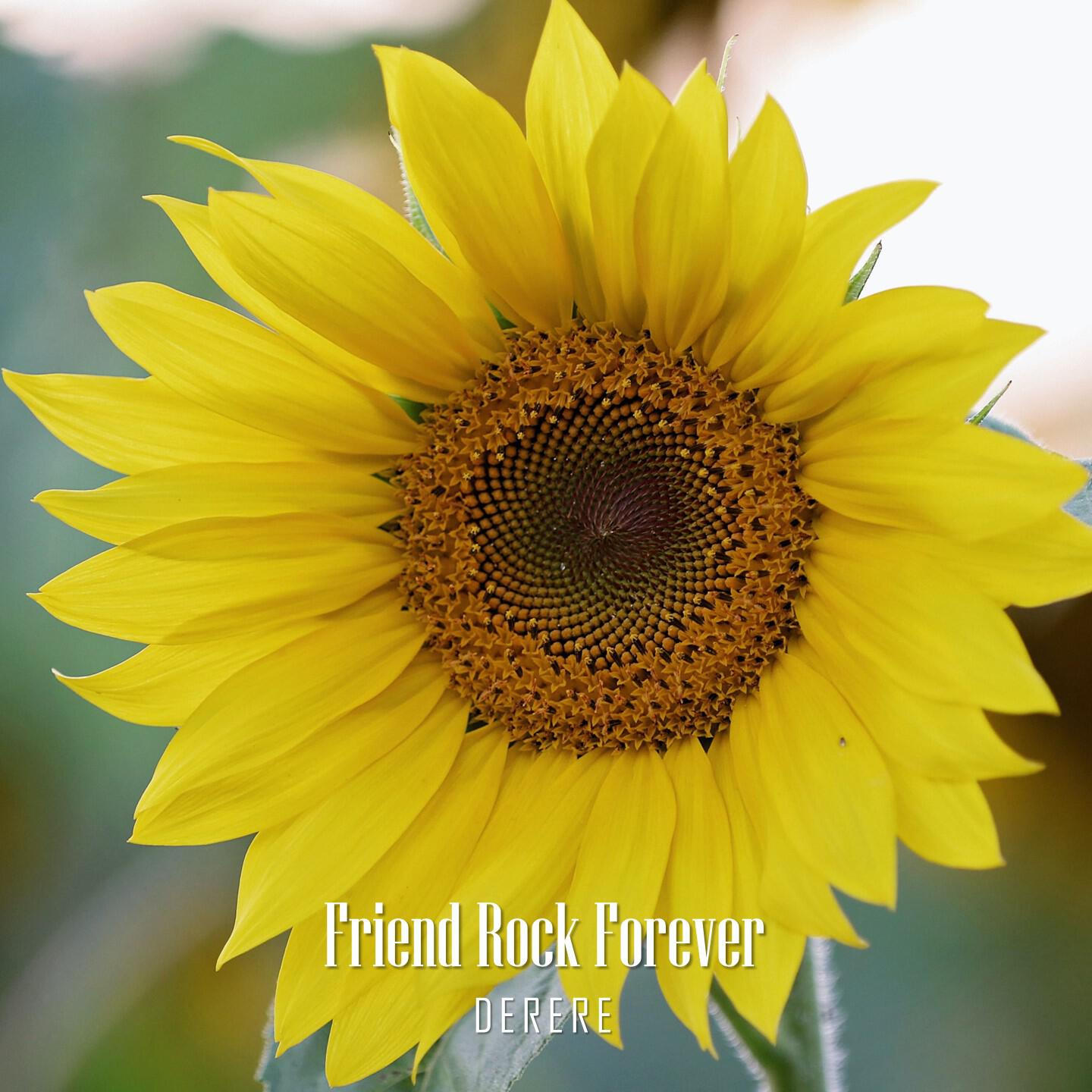 Релиз Friend Rock Forever