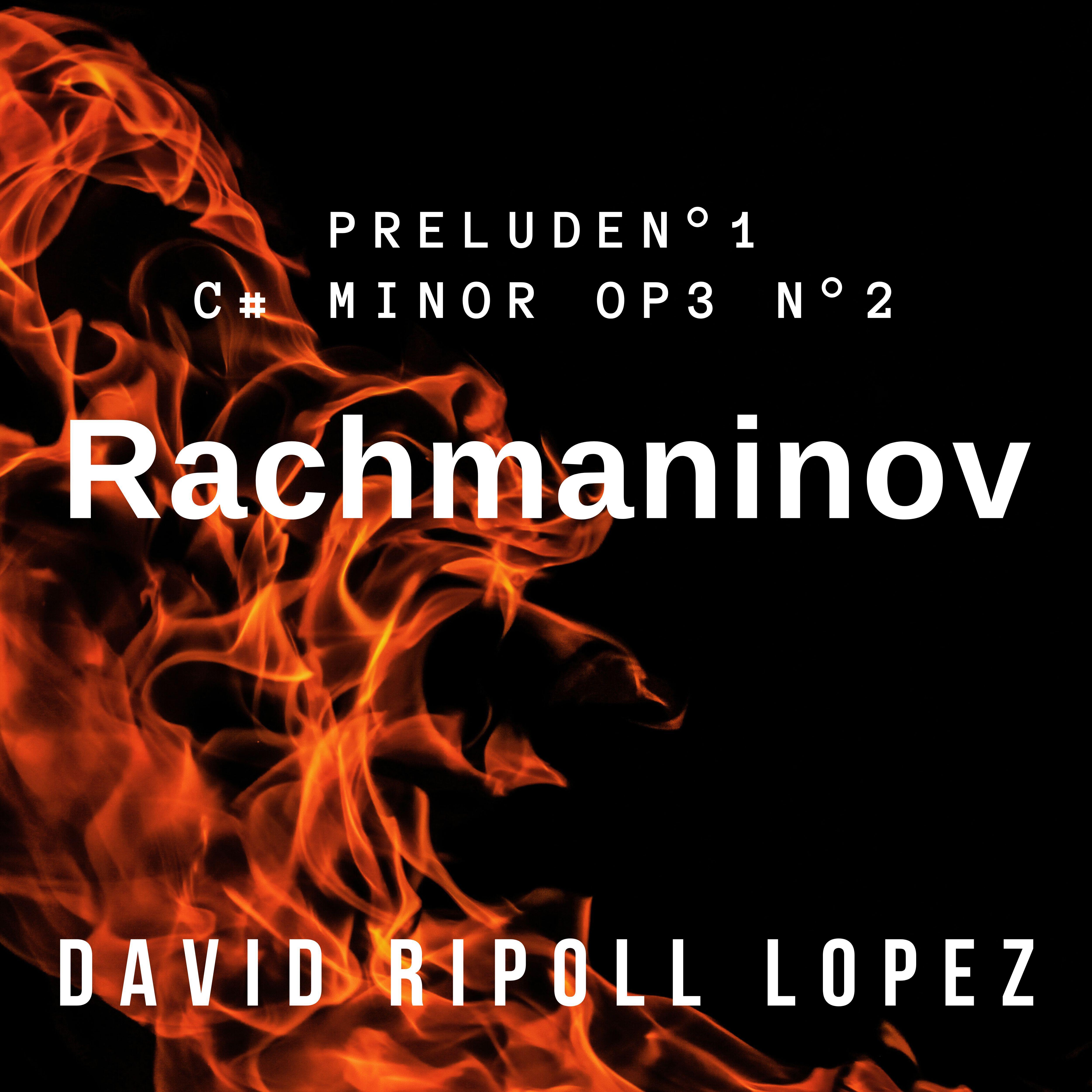 David Ripoll Lopez