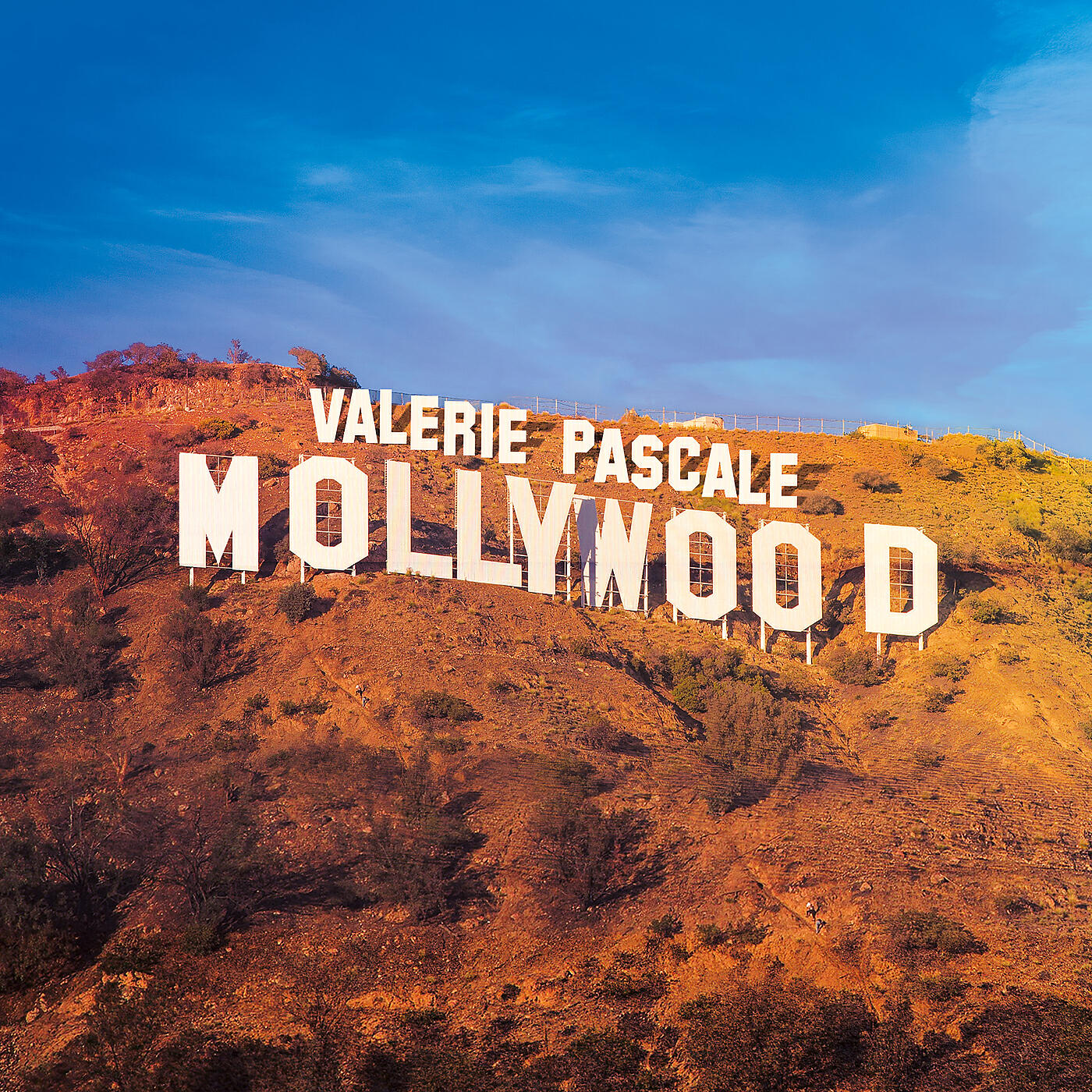 Релиз Mollywood