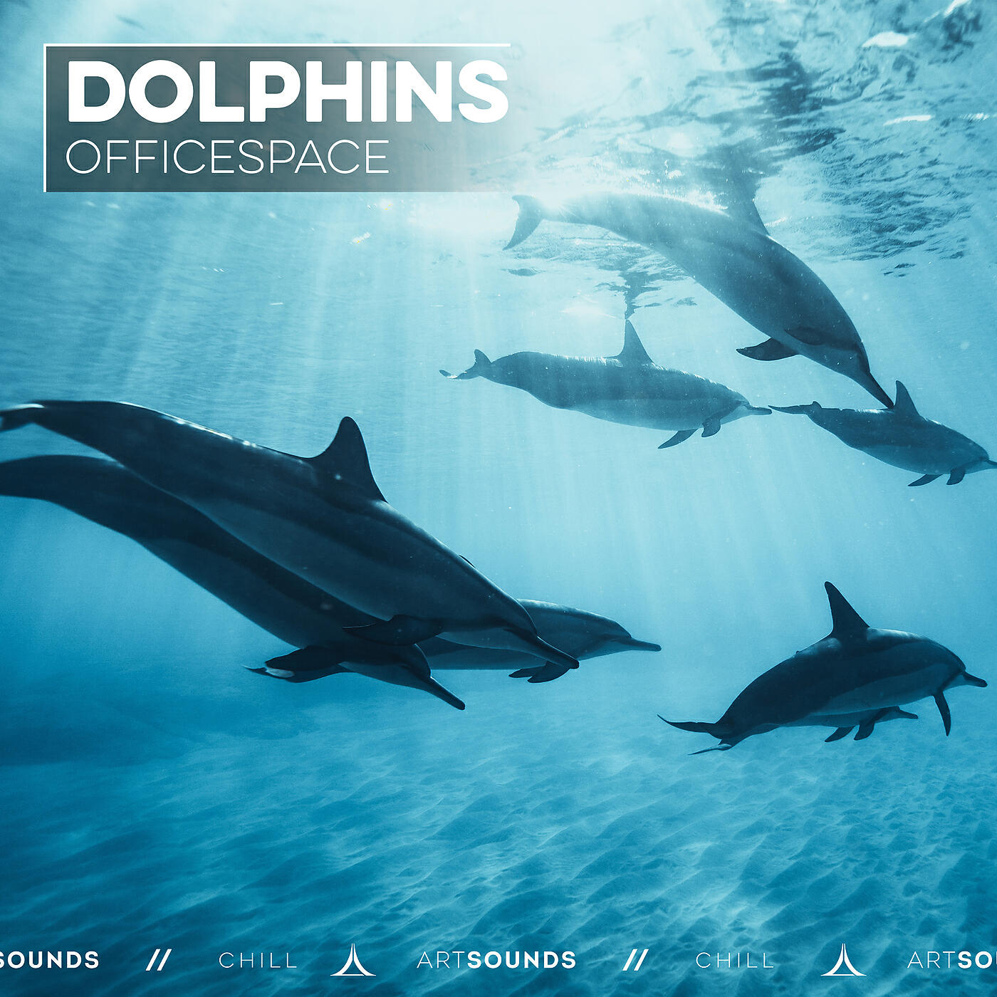 Релиз Dolphins