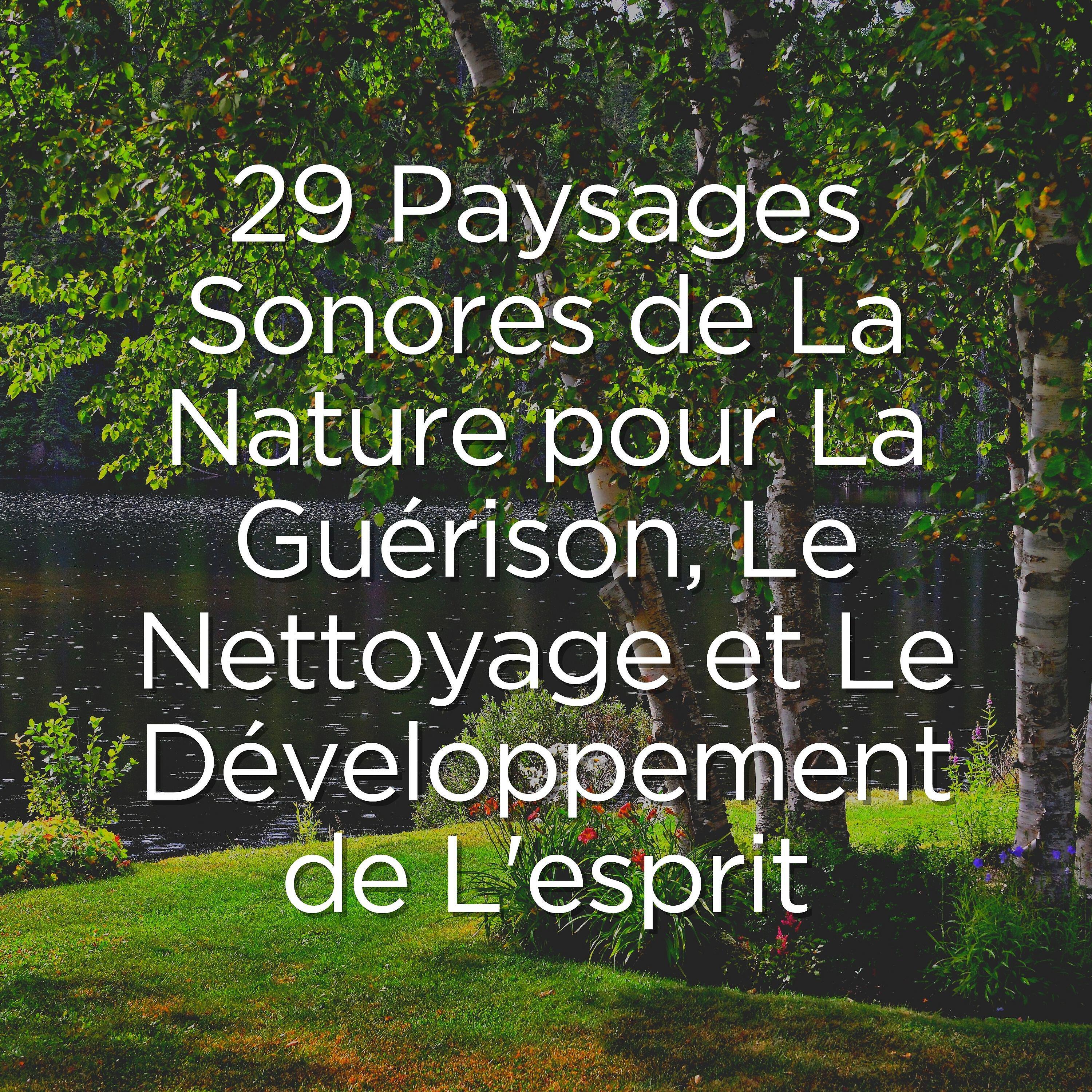 Релиз 29 Paysages Sonores de La Nature pour La Guérison, Le Nettoyage et Le Développement de L'esprit