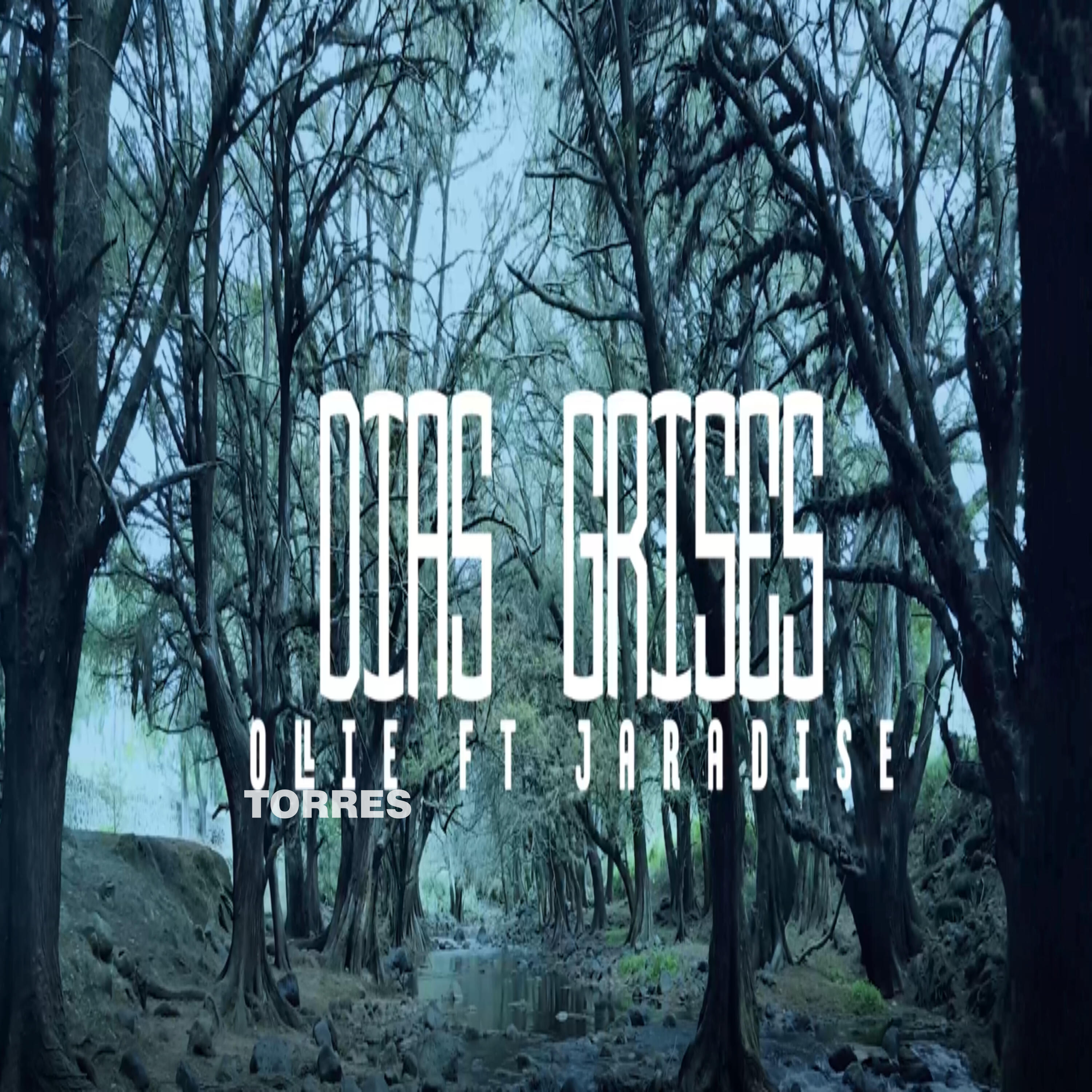 Ollie Torres