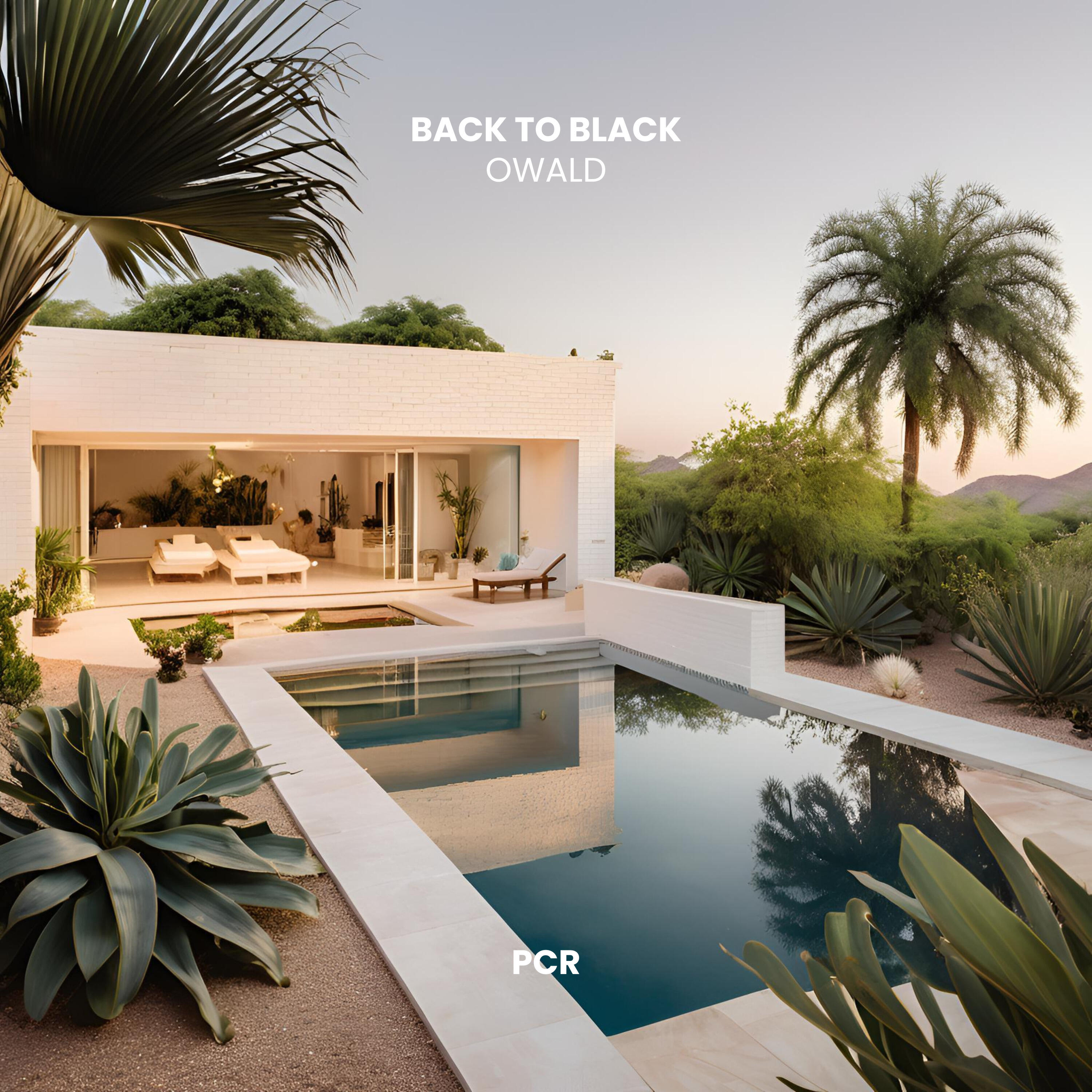 Релиз Back To Black