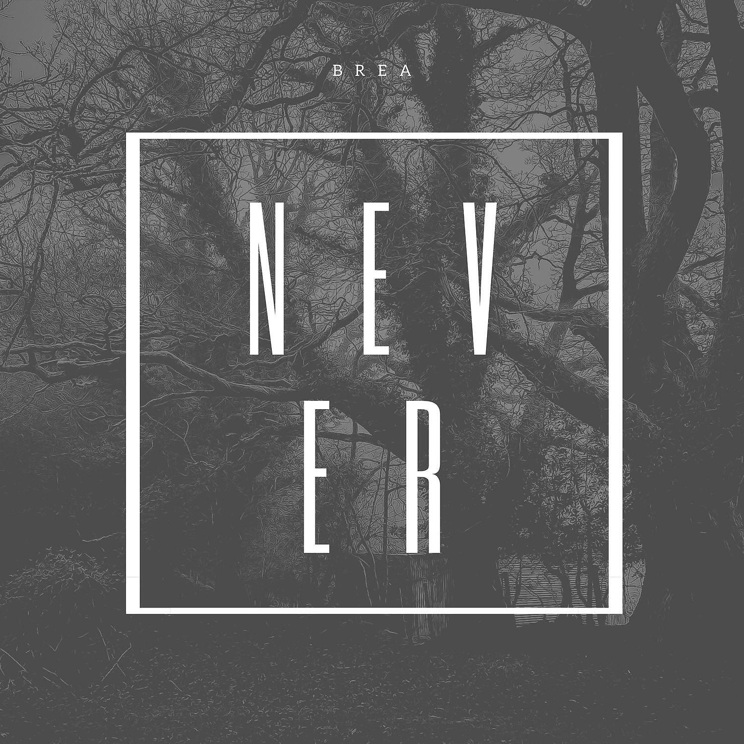 Релиз Never