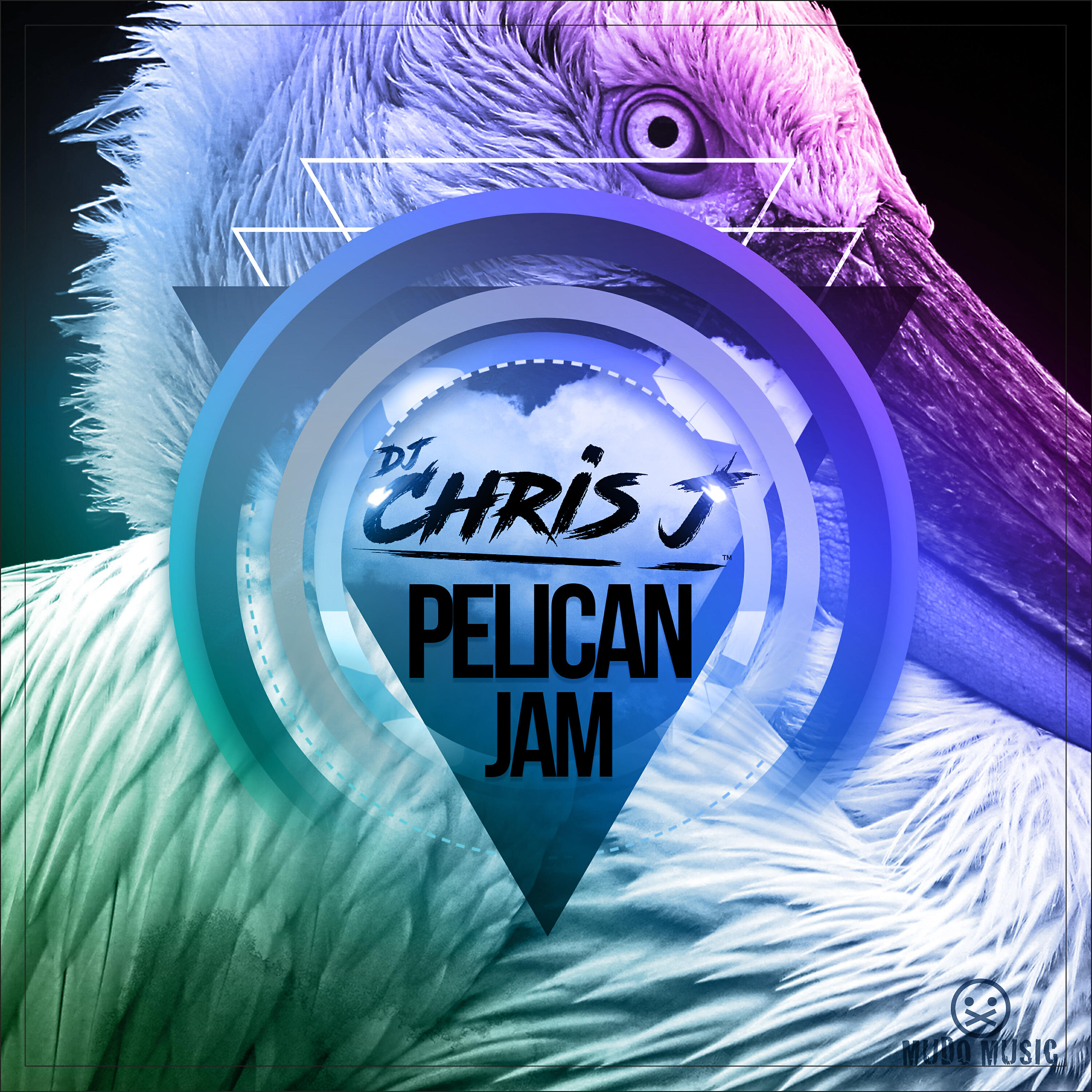 Релиз Pelican Jam