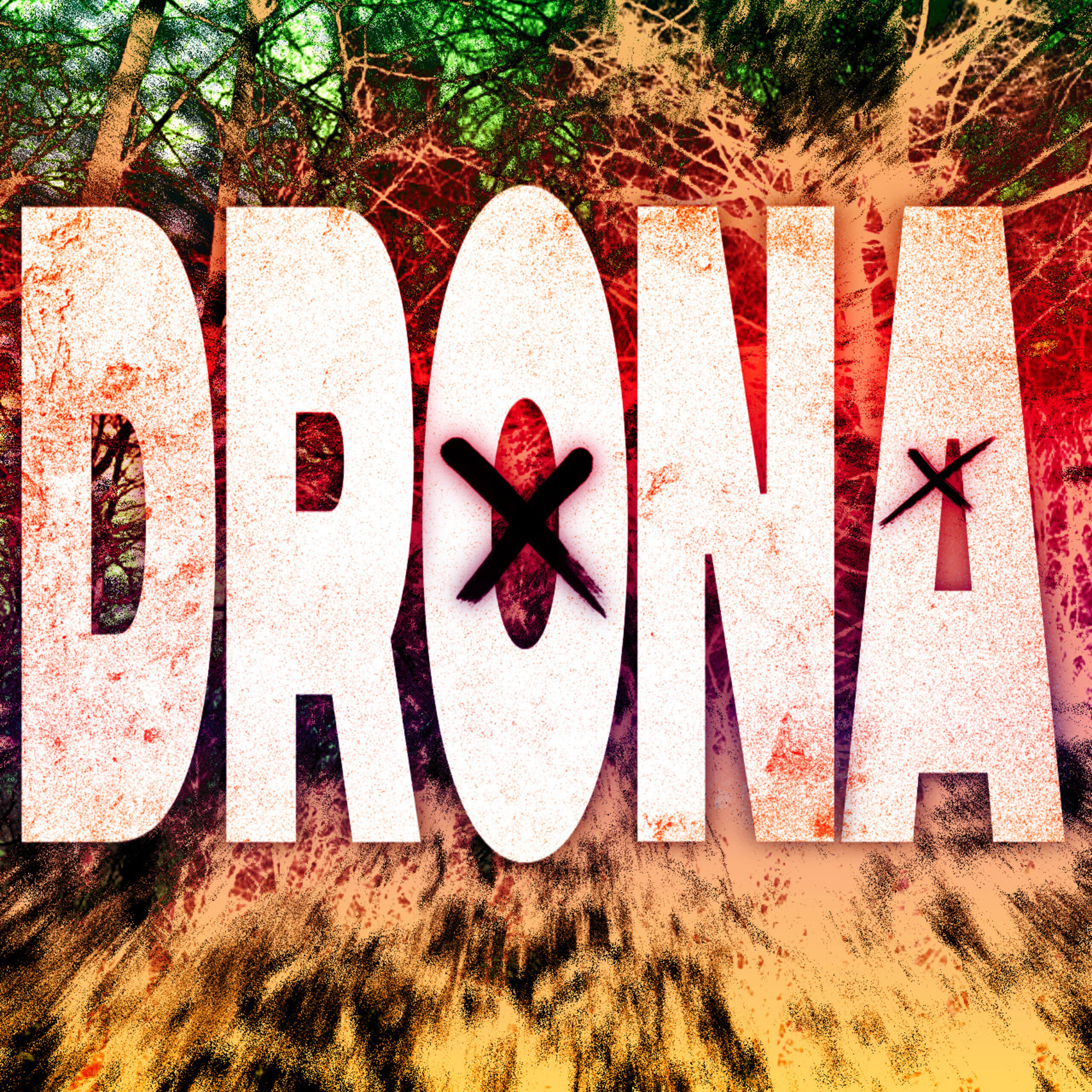 Постер альбома DRONA