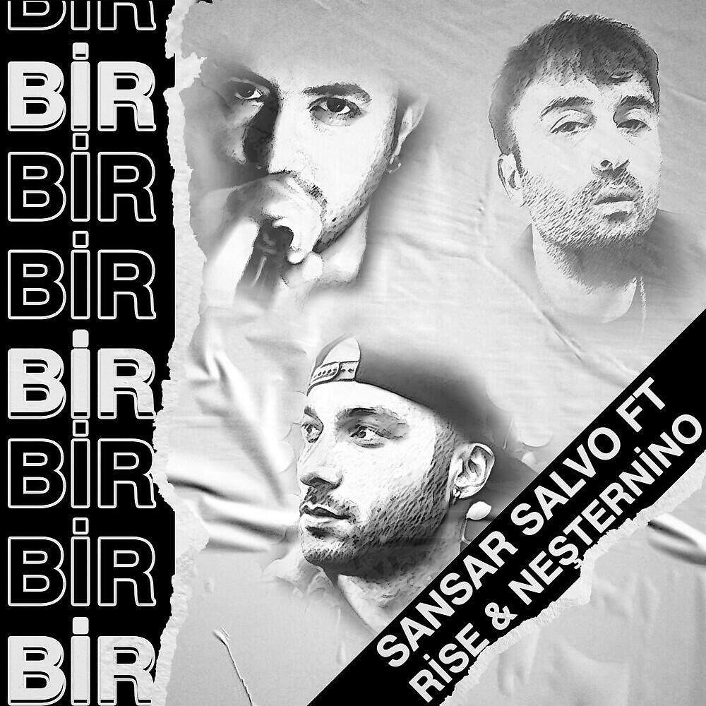Neşternino