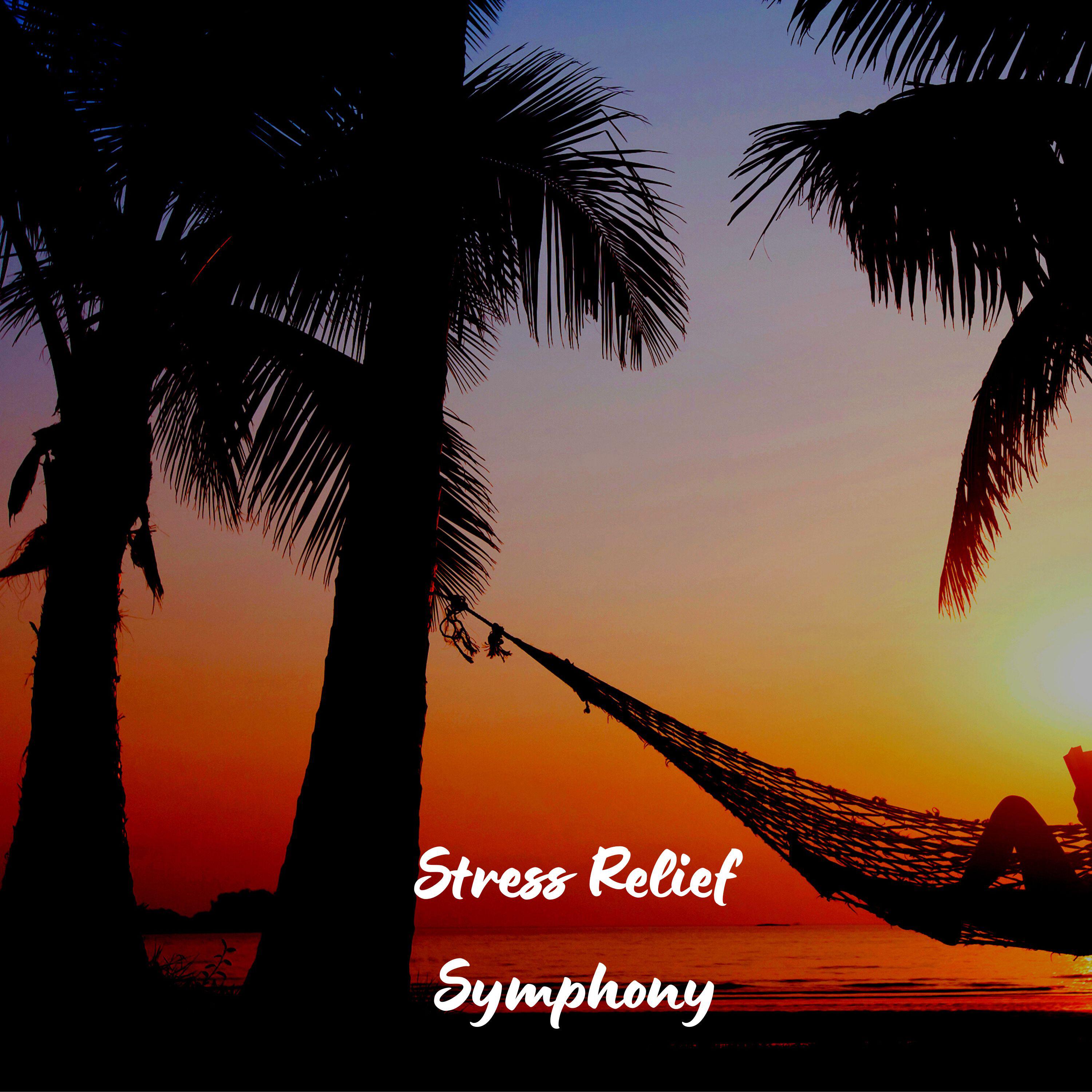 Релиз Stress Relief Symphony