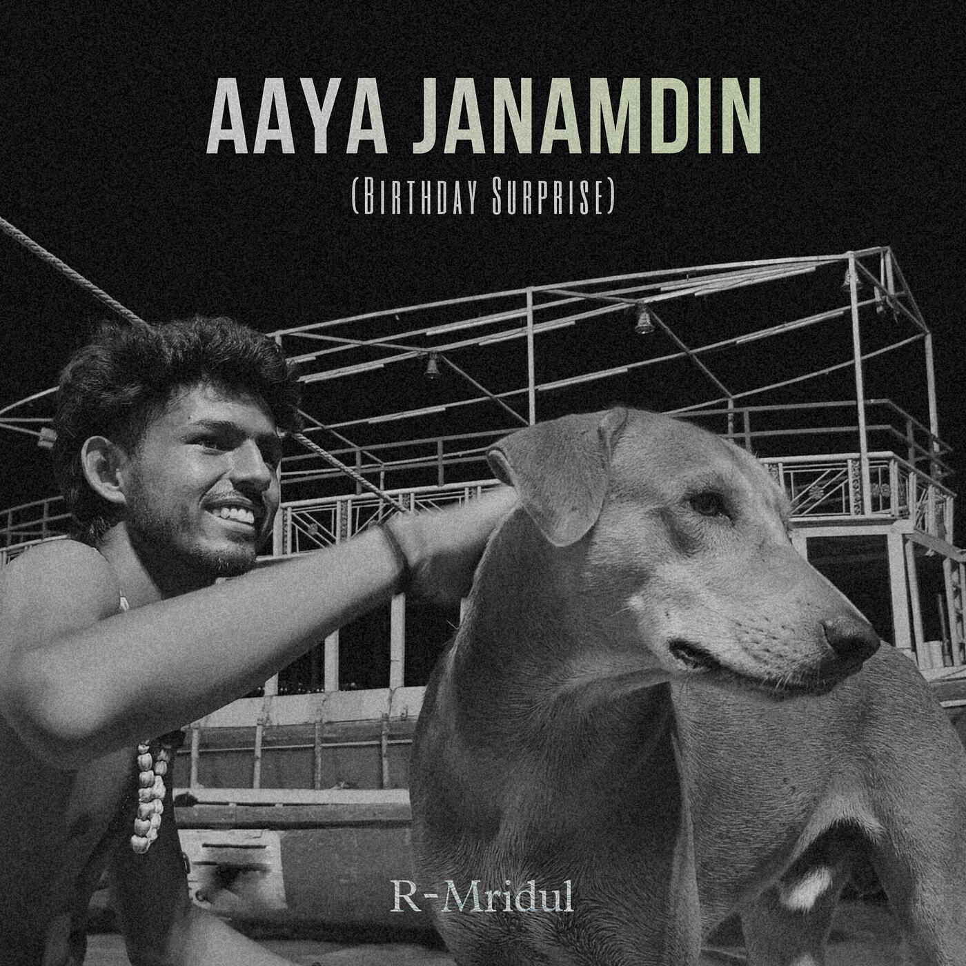 Релиз Aaya Janamdin (Birthday Surprise)