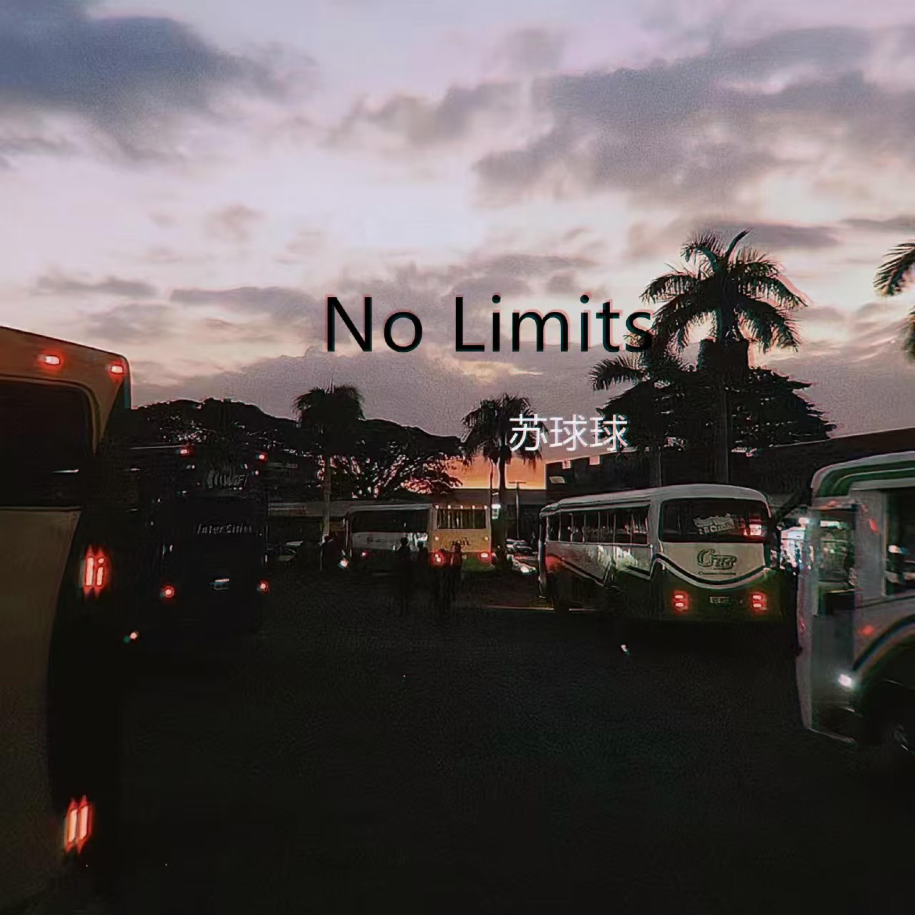 Релиз No Limits