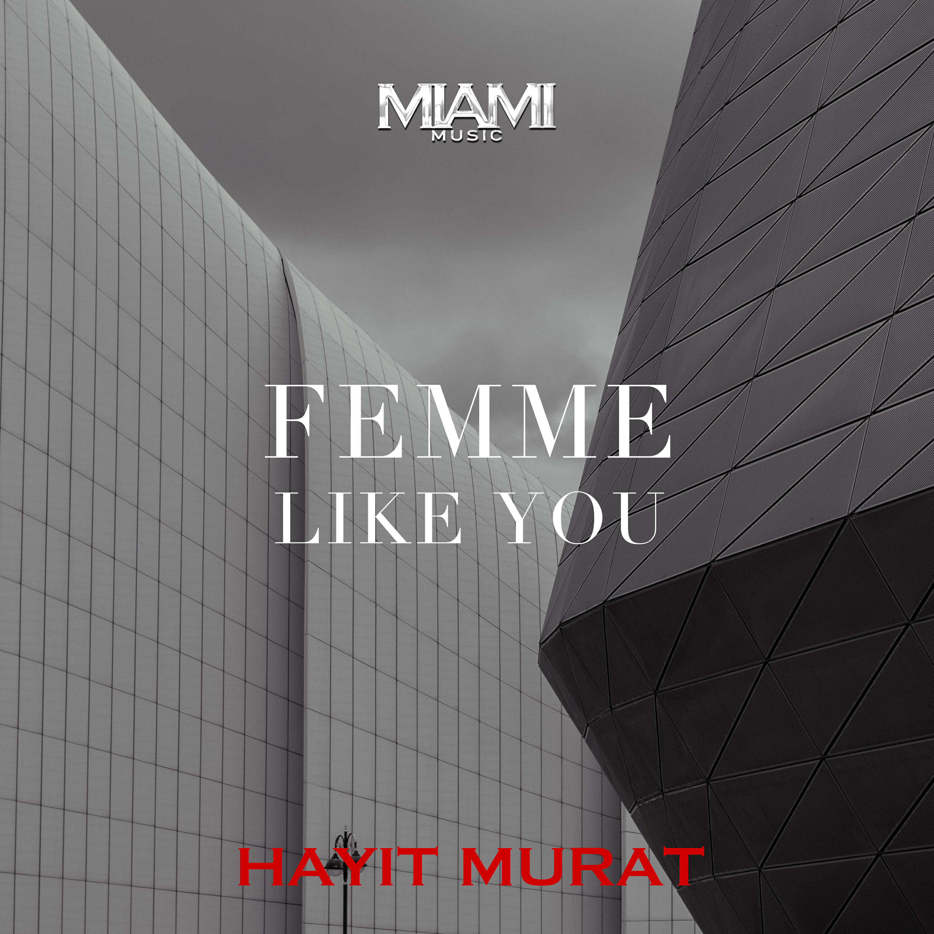Релиз Femme Like You