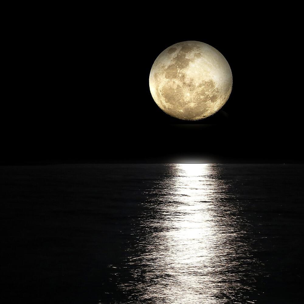Релиз Luna