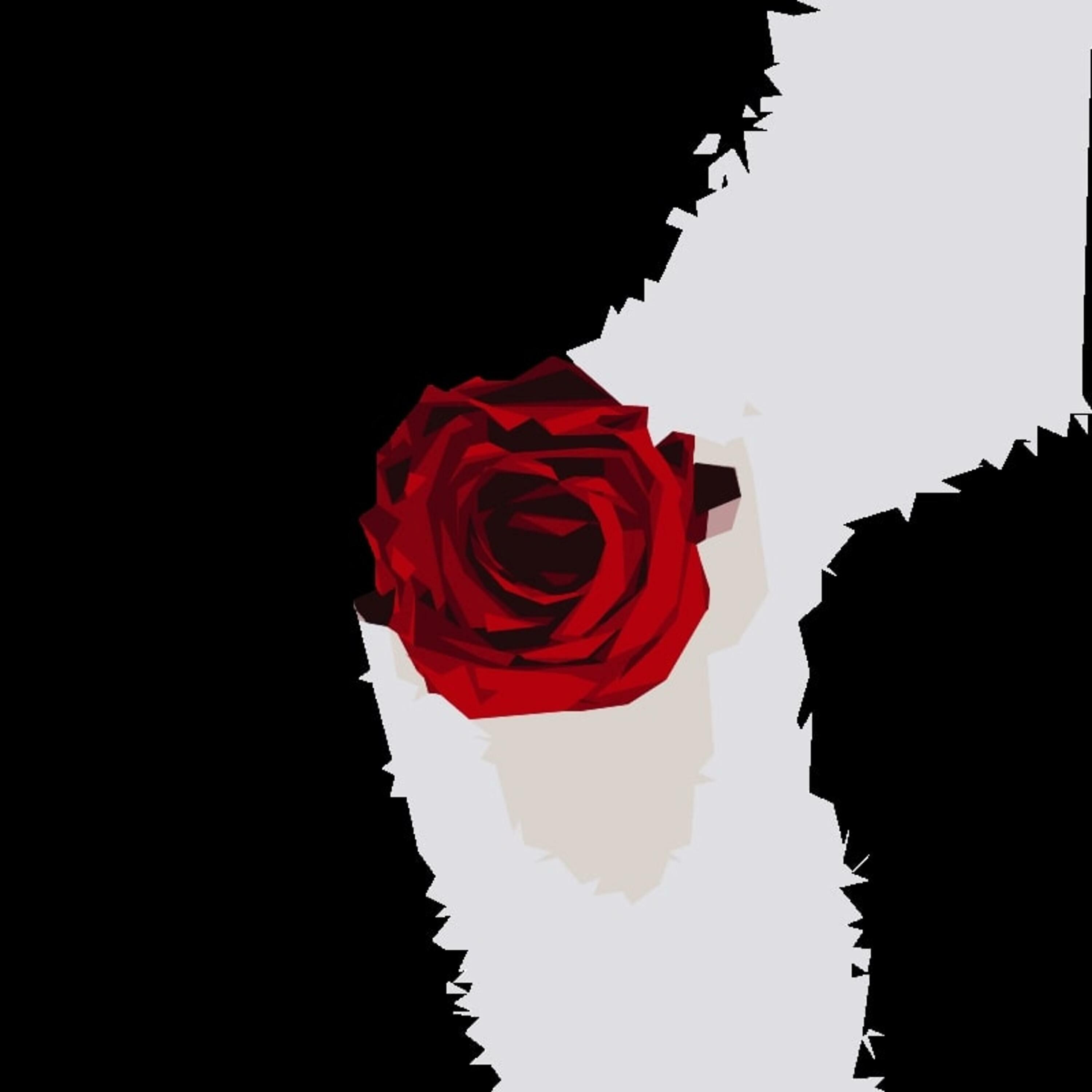 Релиз Rose