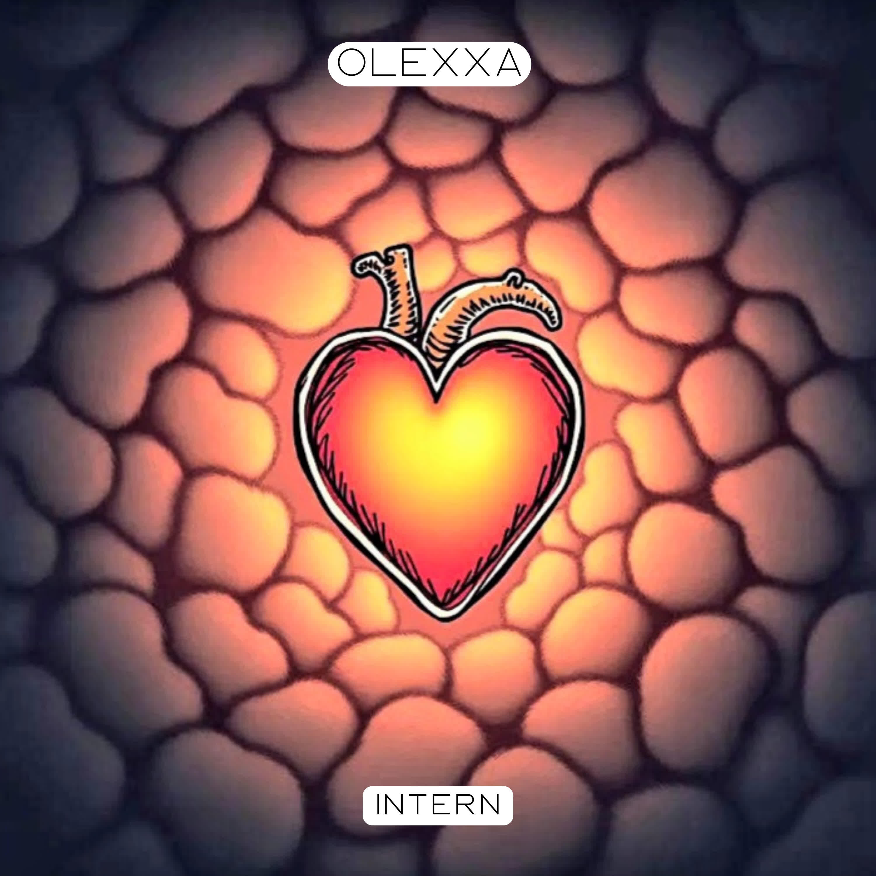 Релиз Intern