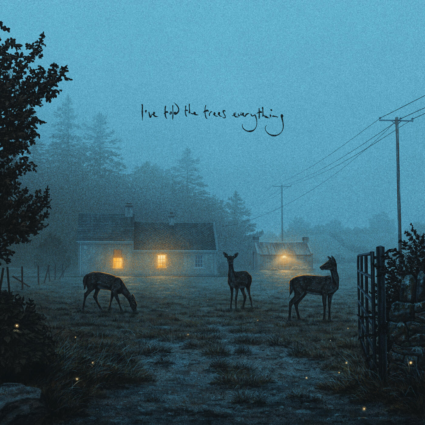 Релиз I've told the trees everything