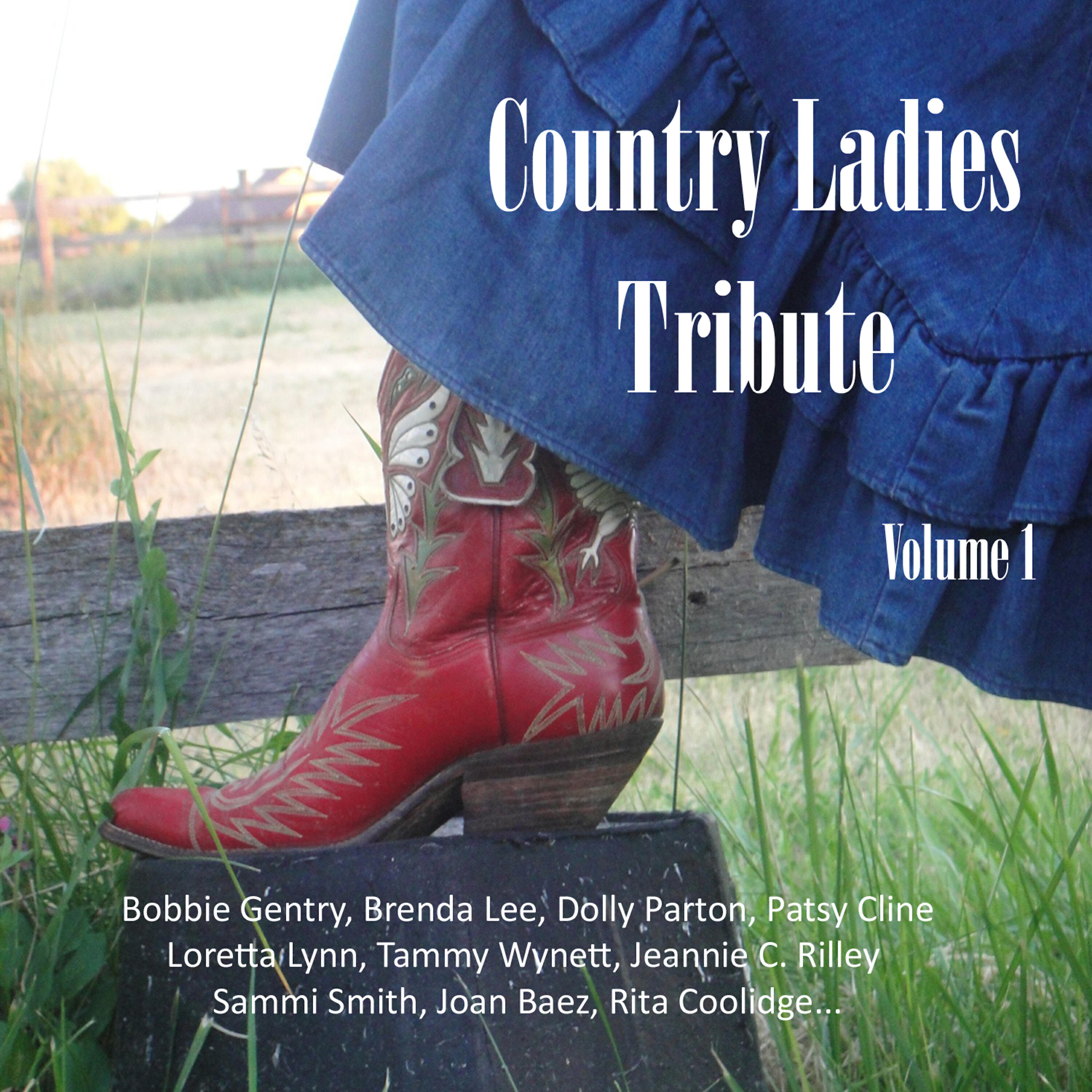 Постер альбома Country Ladies Tribute Vol. 1
