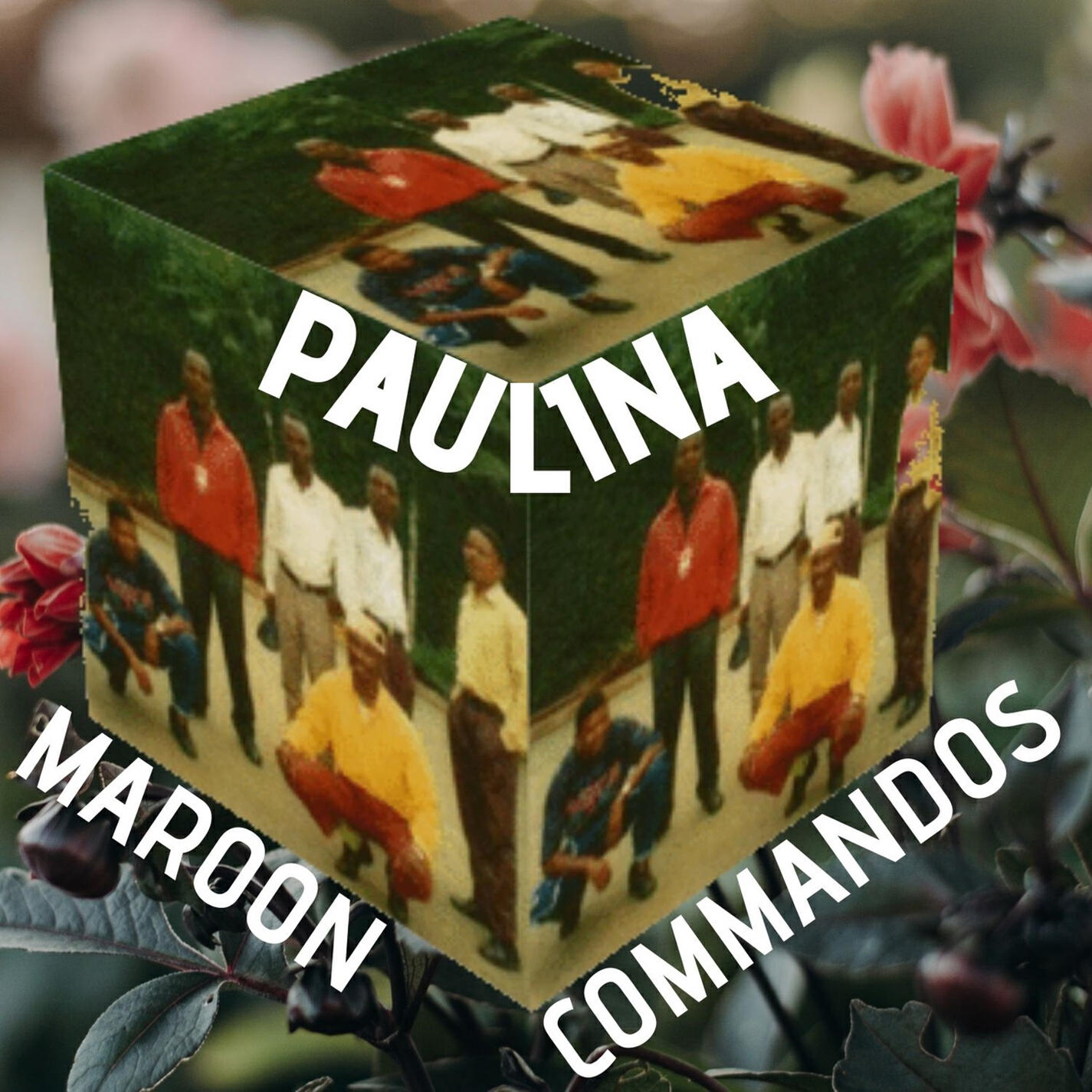 Релиз Paulina