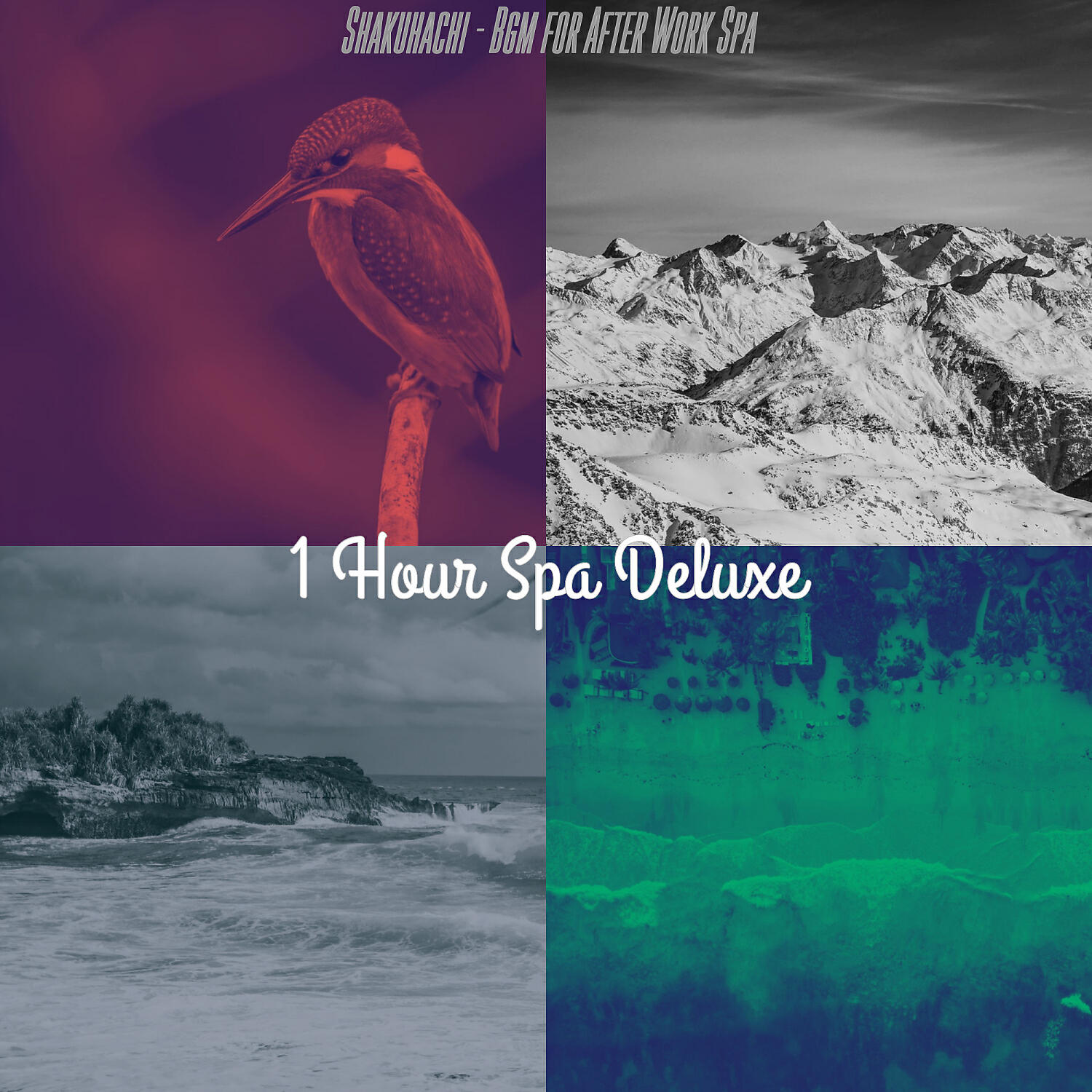 Релиз Shakuhachi - Bgm for After Work Spa