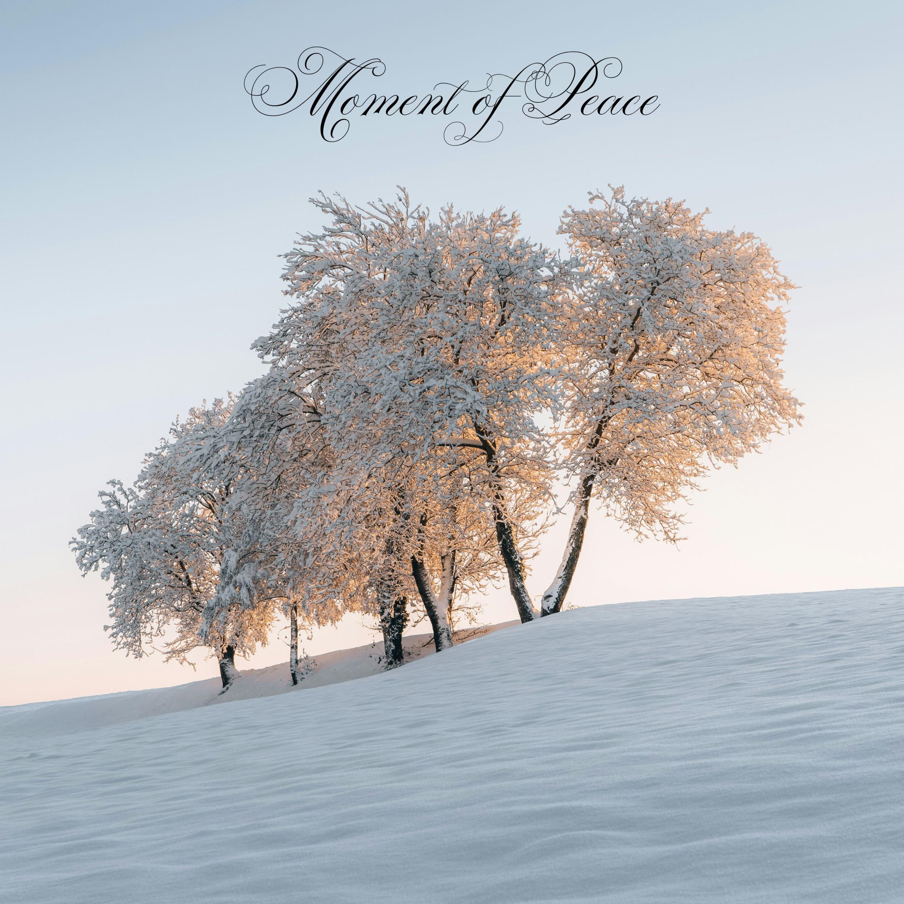 Релиз Moment of Peace