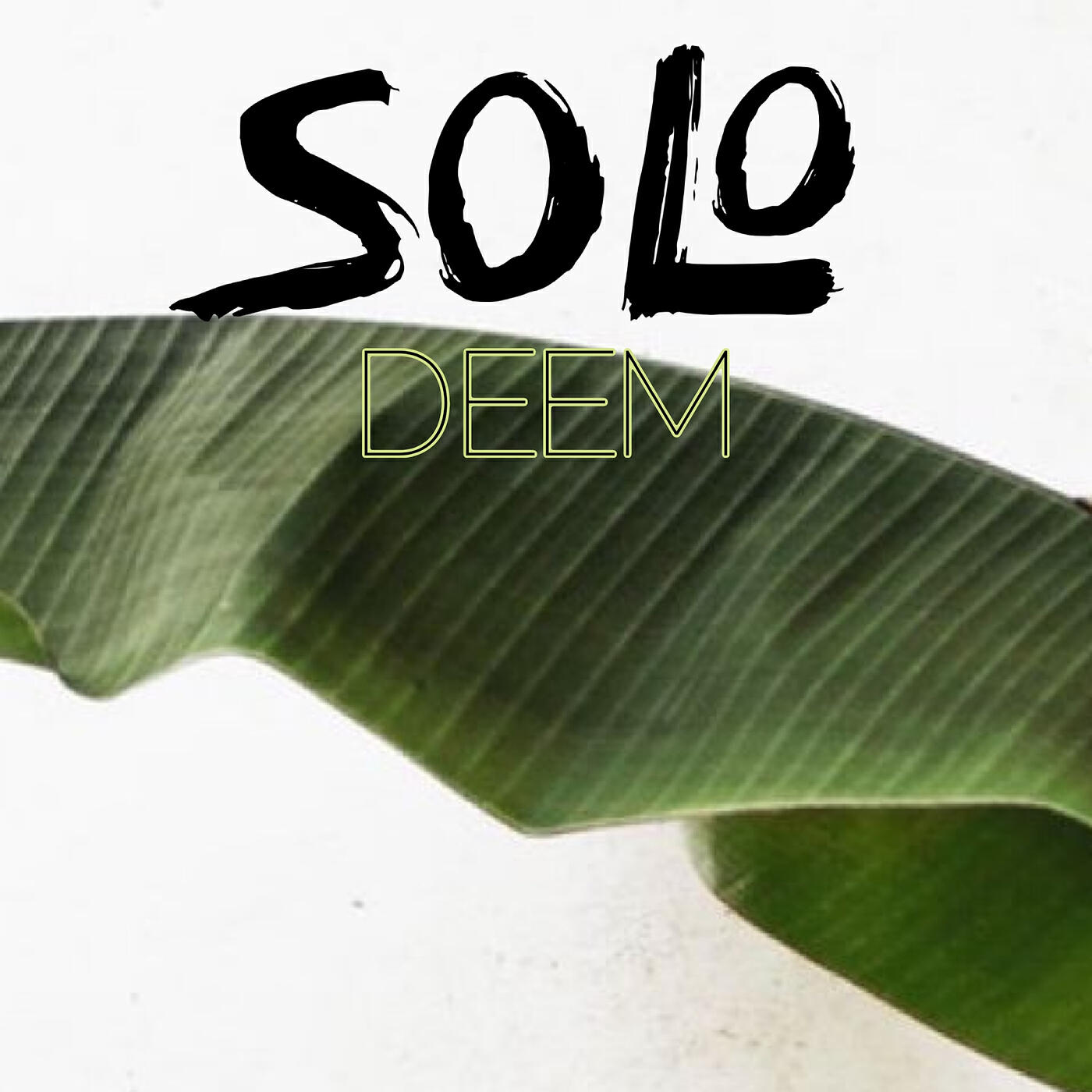 Релиз Solo
