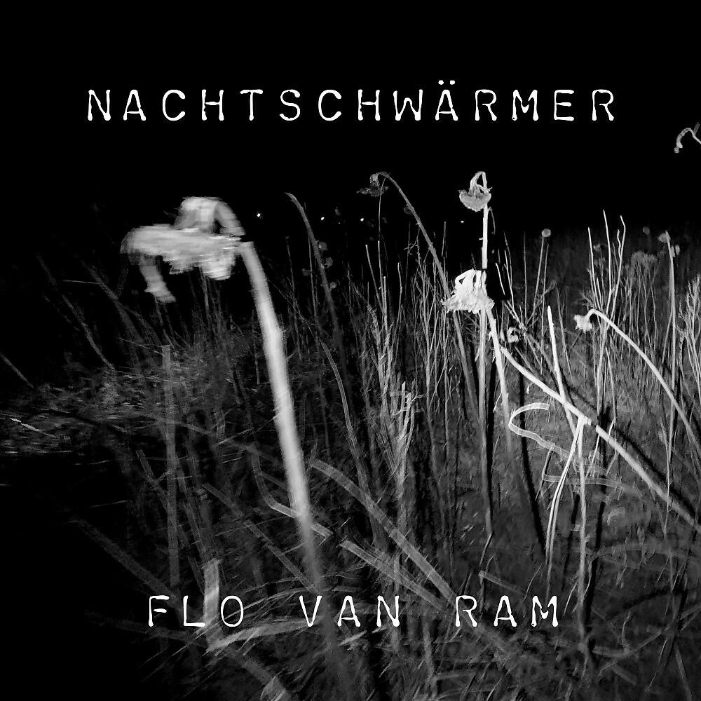 Релиз Nachtschwärmer