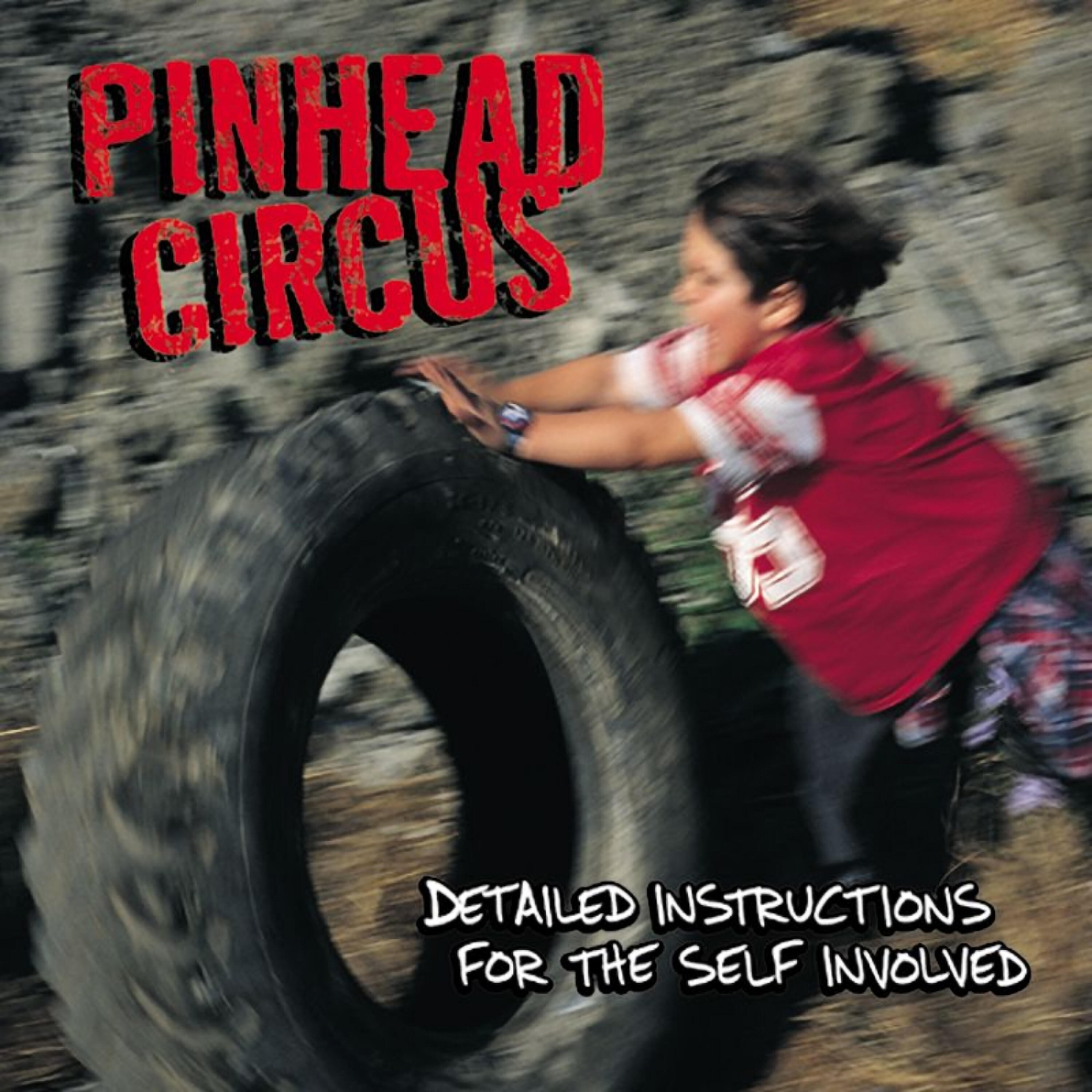 Релиз Detailed Instructions for the Self Involved