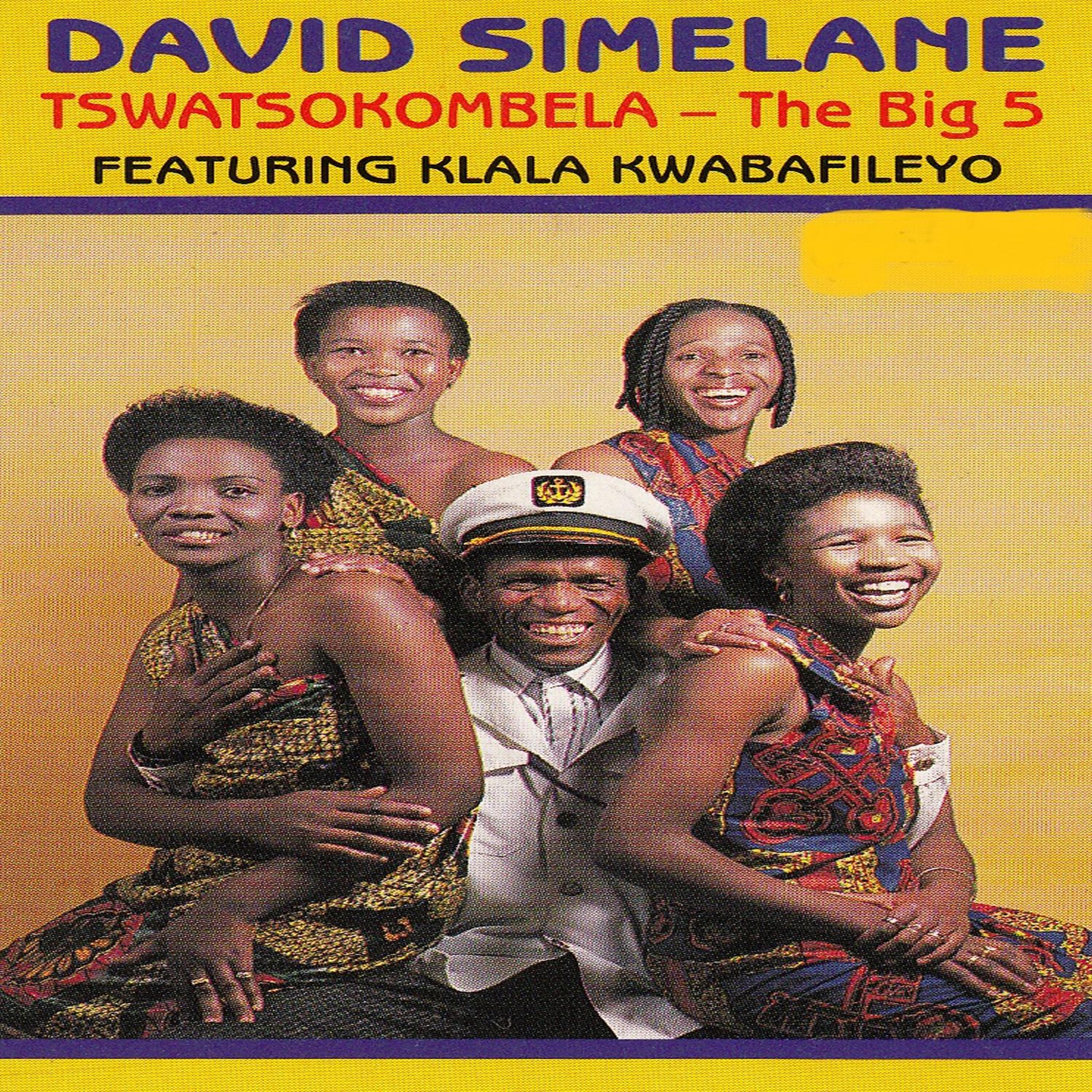 Релиз Tswatsokombela (The Big 5)