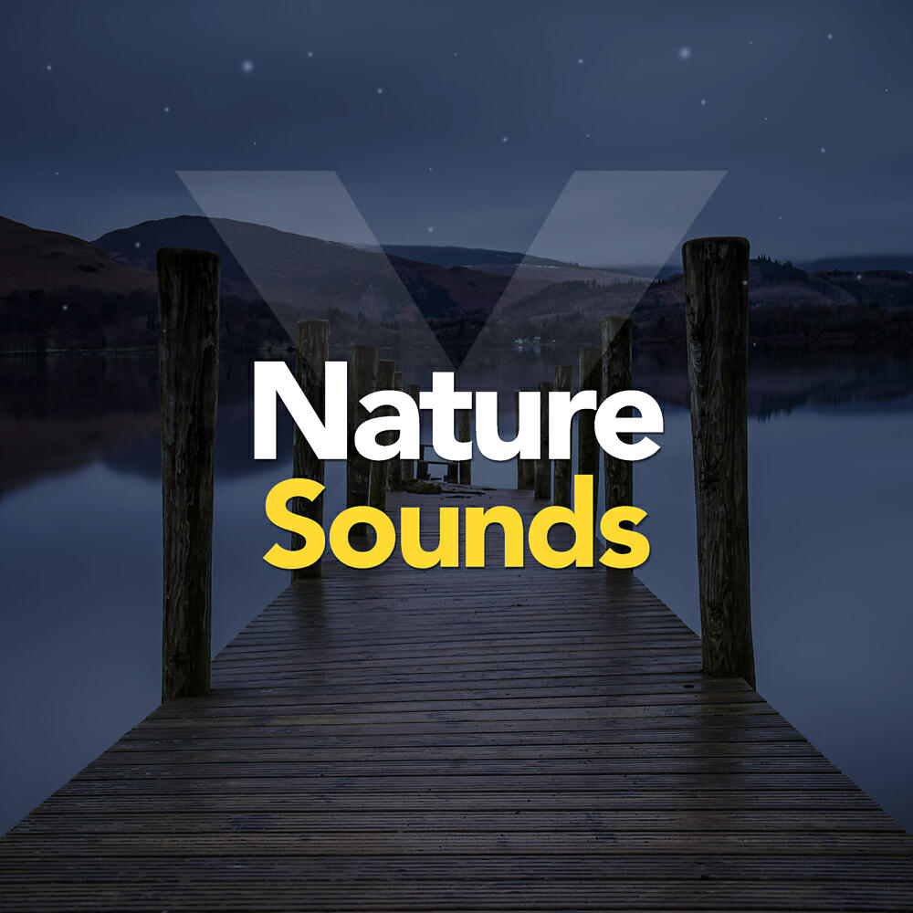 Релиз Nature Music