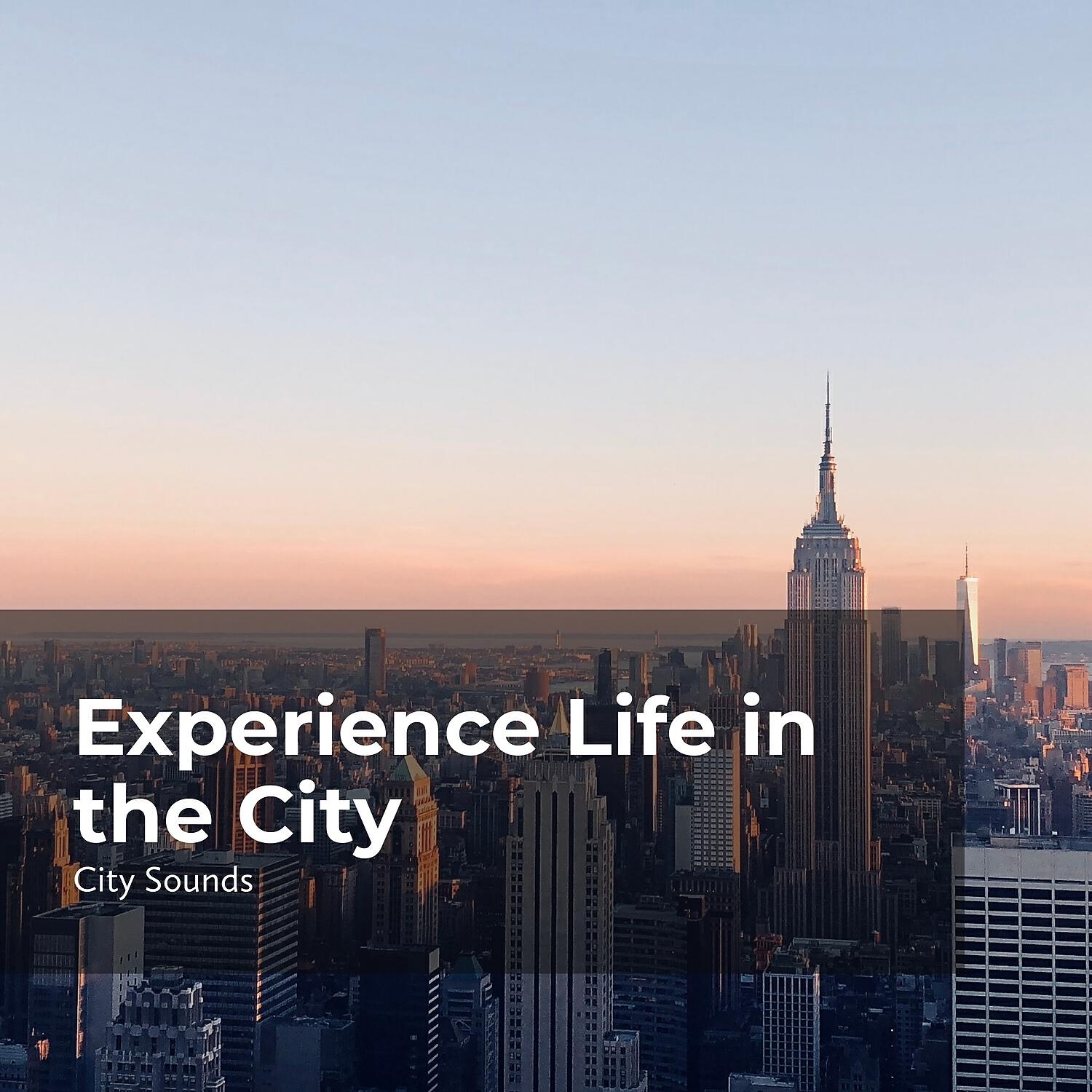 Релиз Experience Life in the City