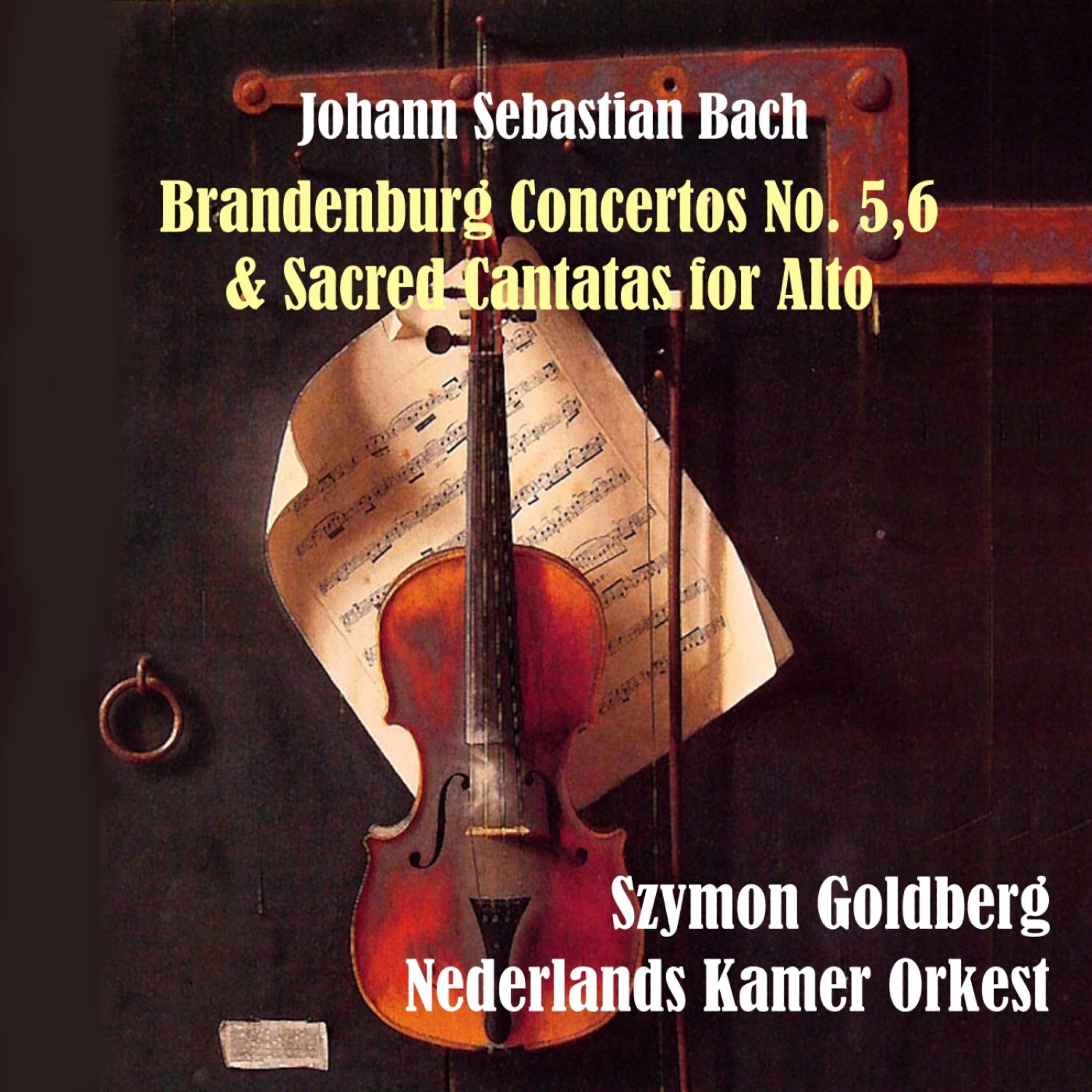 Nederlands Kamer Orkest