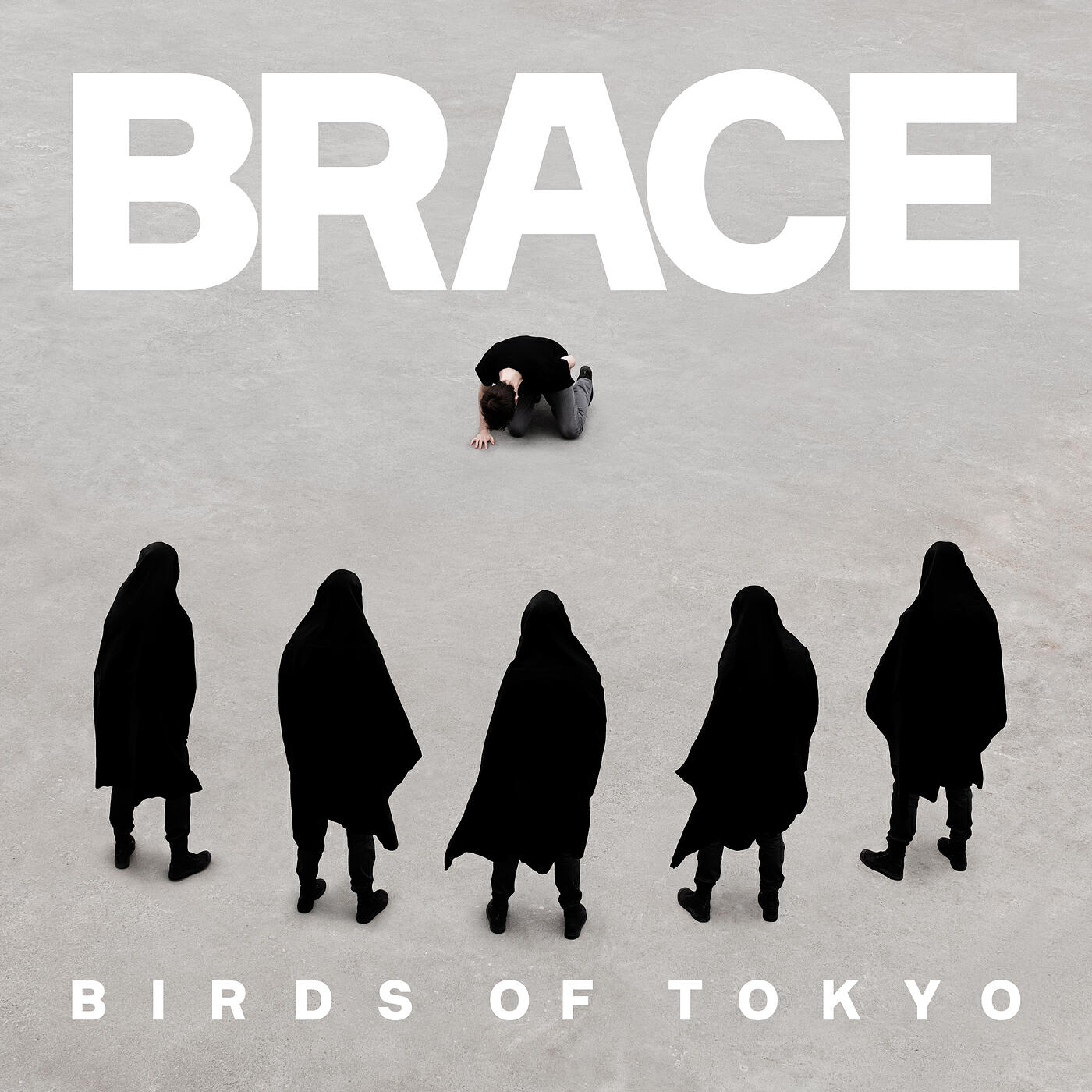 Релиз BRACE