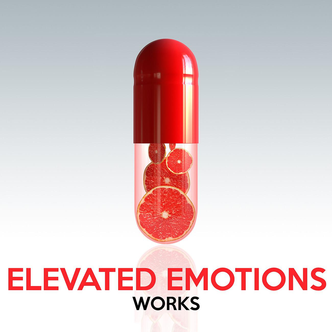 Релиз Elevated Emotions Works