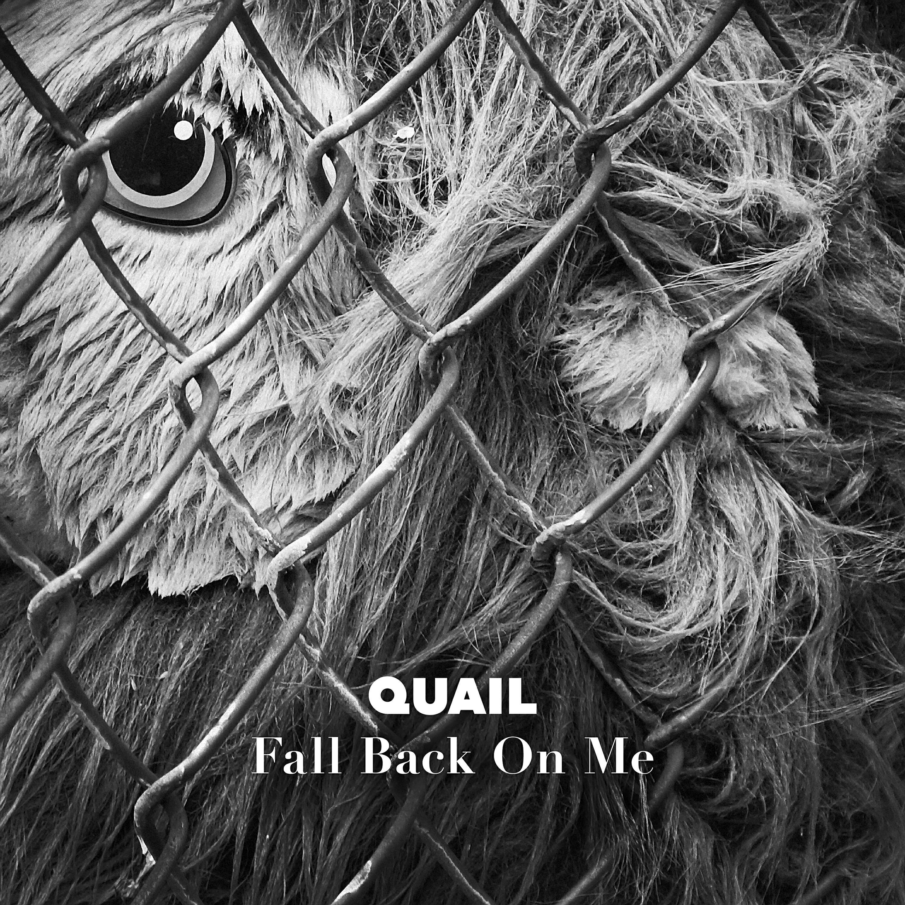 Quail