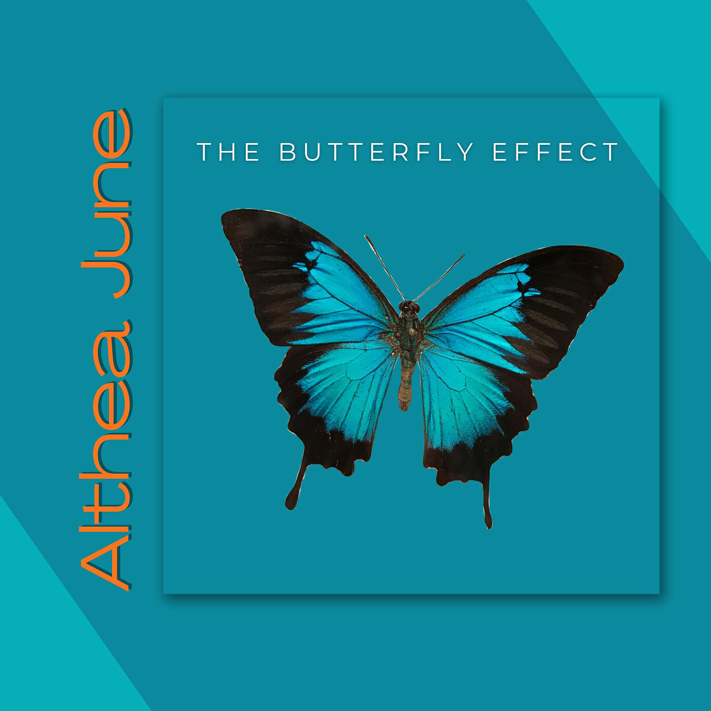Релиз The Butterfly Effect