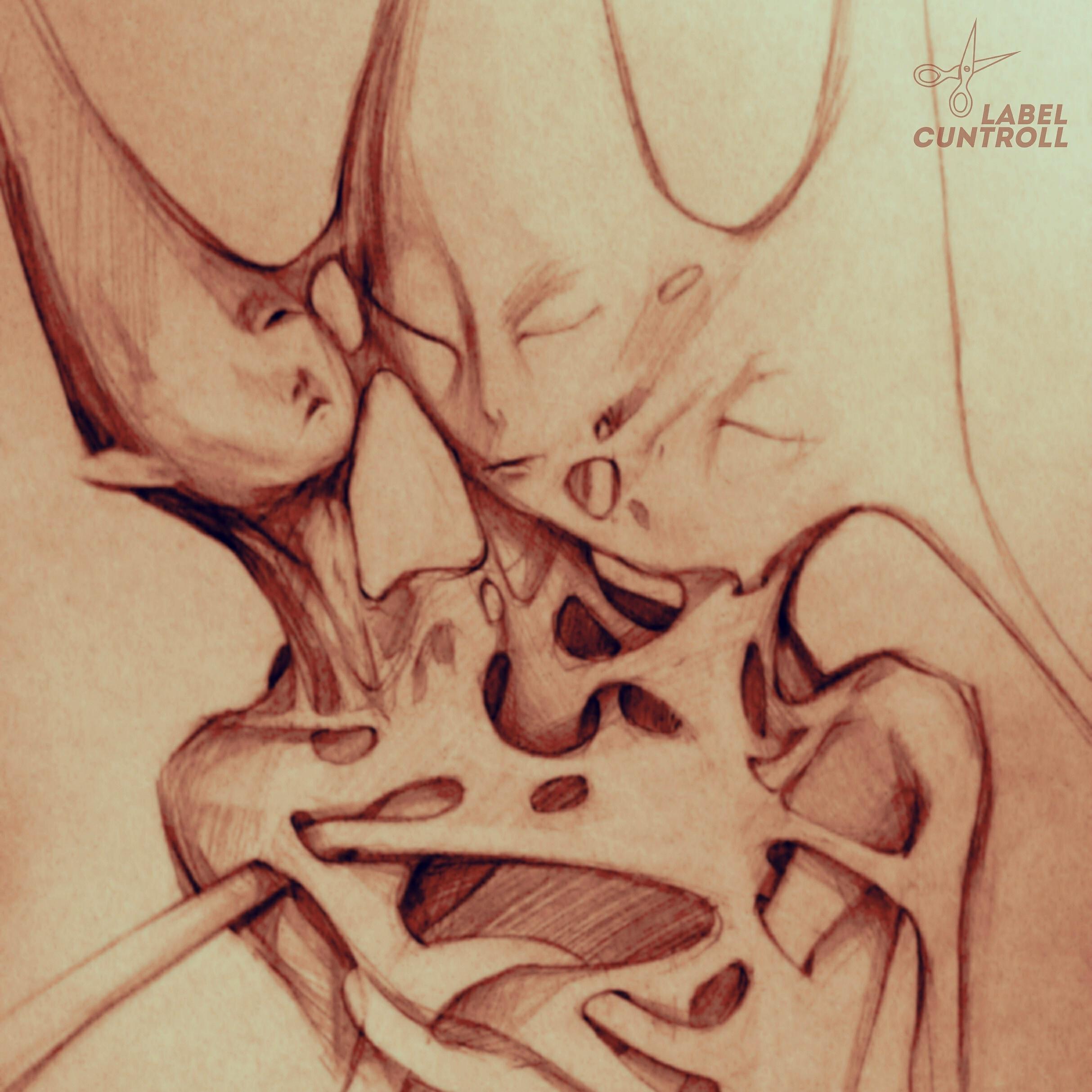 Релиз Fission