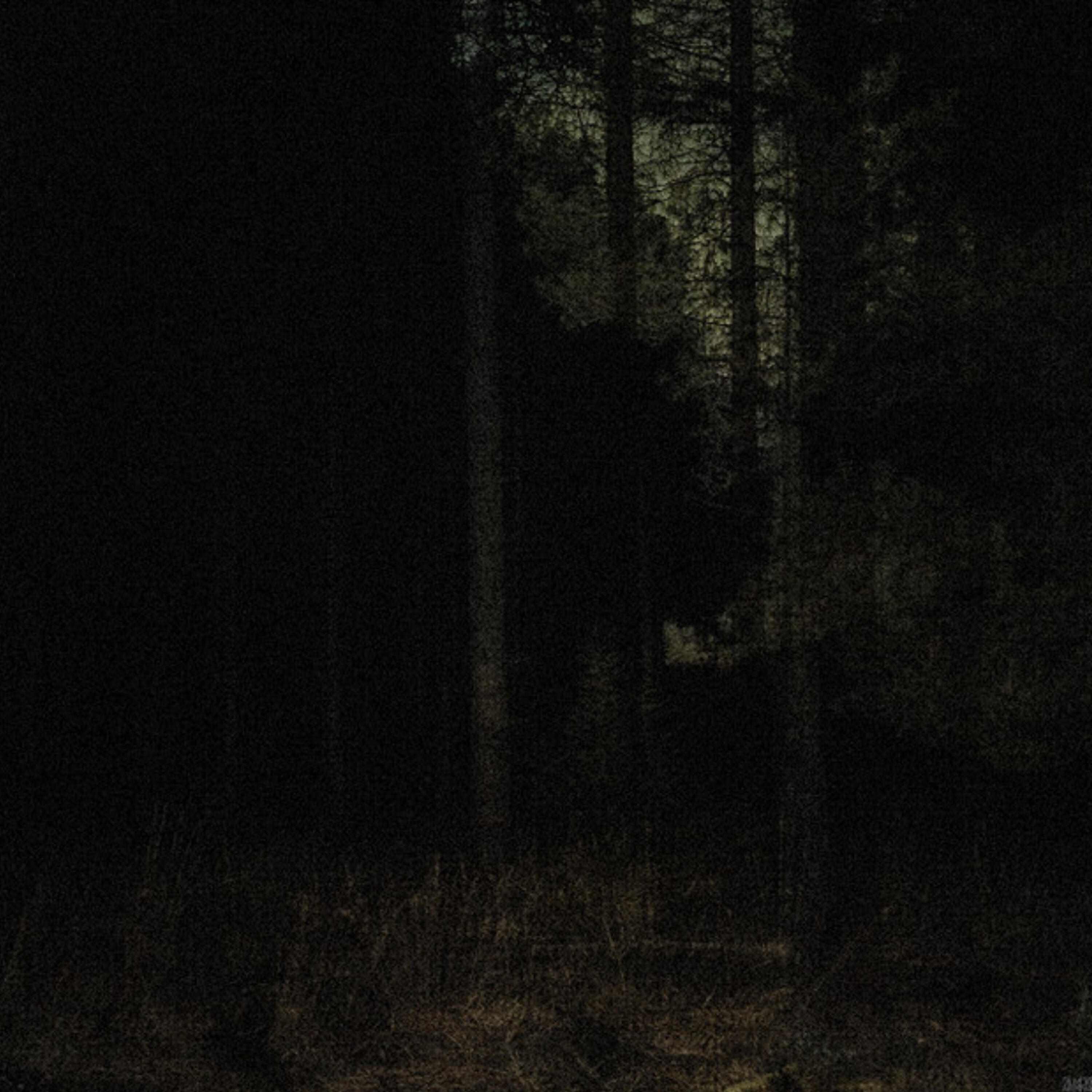 Релиз TREPIDATION