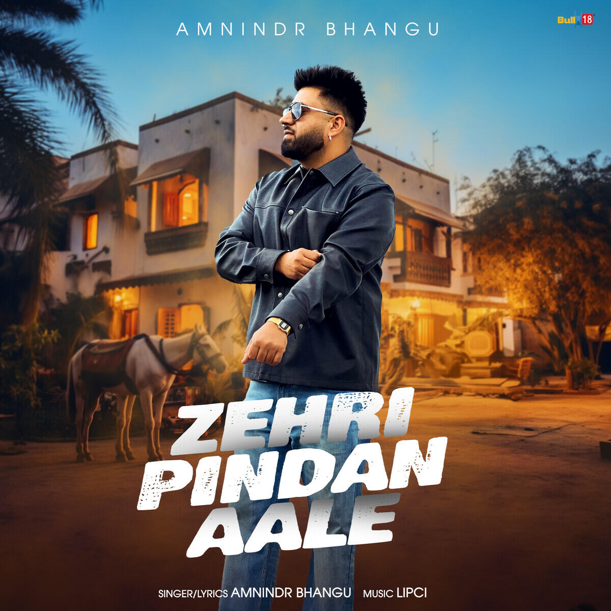 Релиз Zehri Pindan Aale